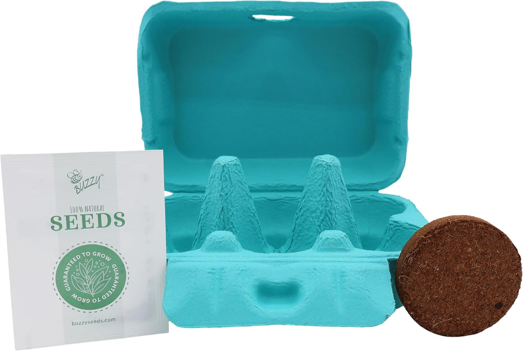 Buzzy Seeds Flower Starter Kit 2-Pack - Egg Carton Eco-Friendly Pots - Complete Indoor Gardening Kit with Seeds