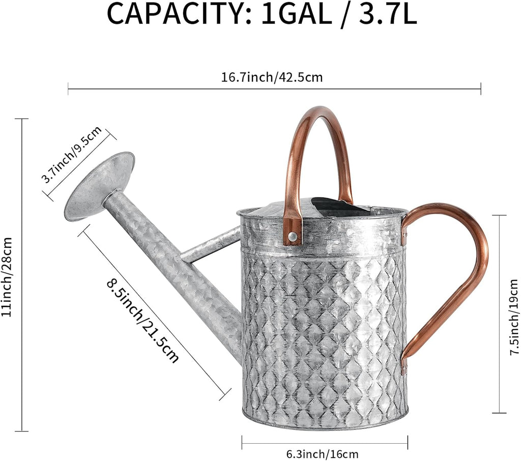 1 Gallon Metal Watering Can for Outdoor Indoor Plants, Galvanized Watering Can with Removable Spray Spout, Ideal for