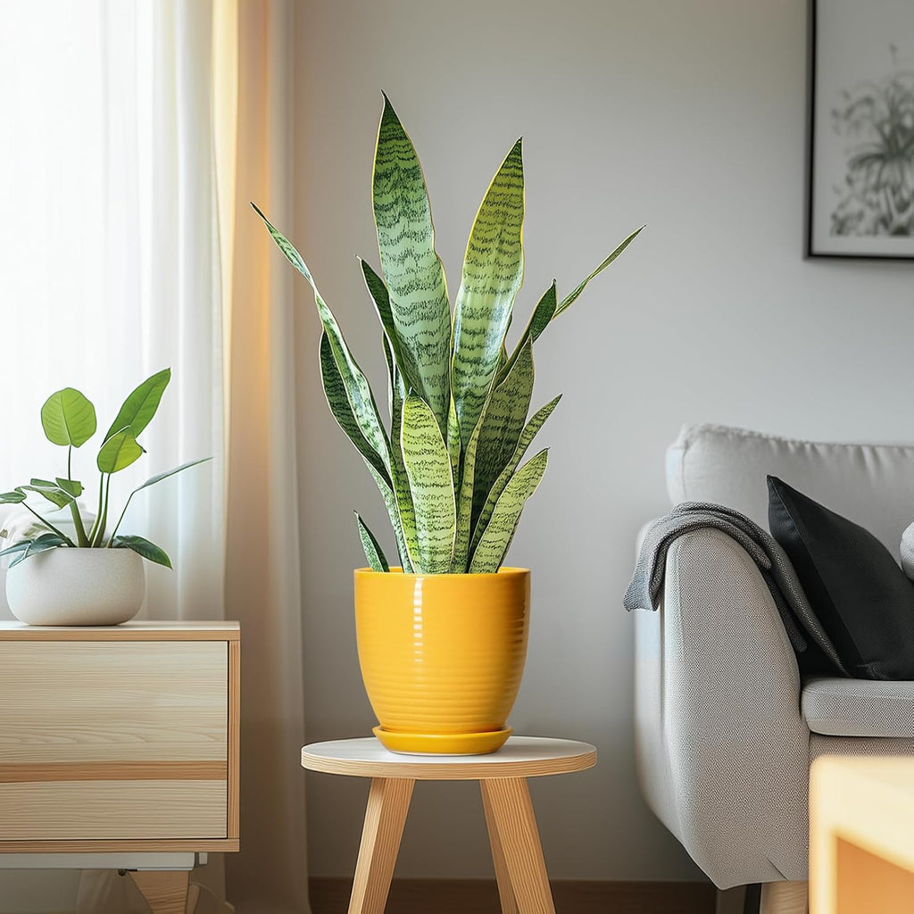 Ceramic Pots for Plants - 6 Inch Plant Pot for Indoor Plants, Ceramic Planter with Drainage Hole and Saucer, Round