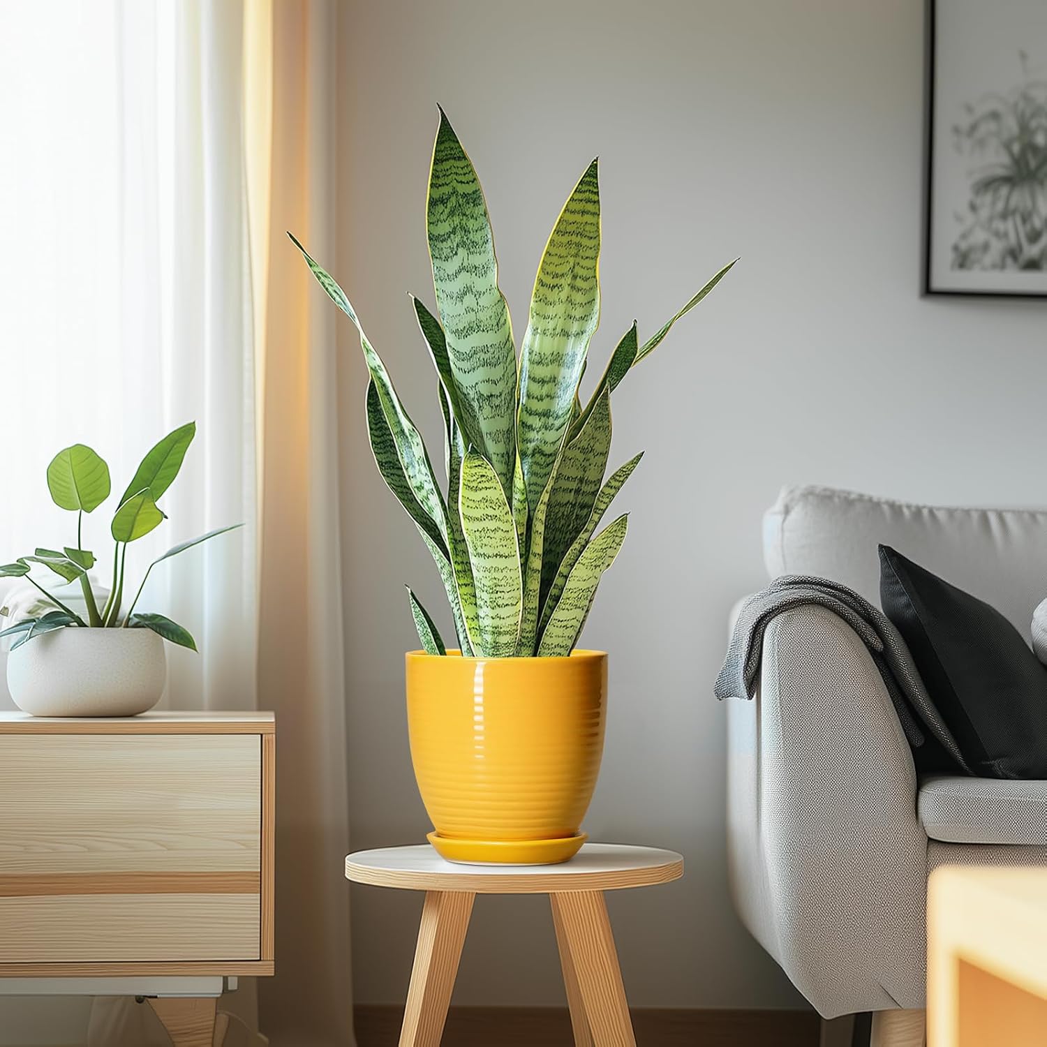 Ceramic Pots for Plants - 6 Inch Plant Pot for Indoor Plants, Ceramic Planter with Drainage Hole and Saucer, Round