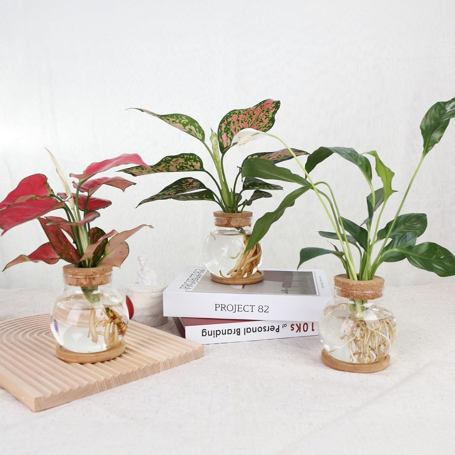 Plant Propagation Station,Hydroponic Glass Container Vase Jars, with Wooden Saucer for Desks, Houses, Garden