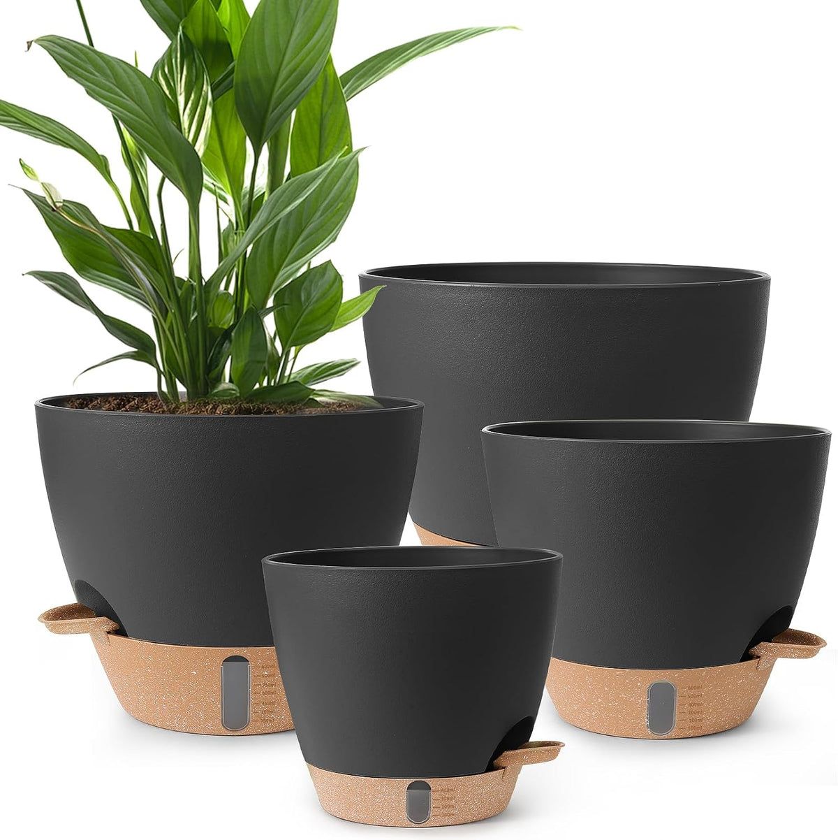 Self Watering Pots for Plants, 2026 New Flower Plant Pots with Drainage Holes, Wicking and Clear Reservoirs for Succulent, Aloe, Cacti and Others - 6 Pack (Green, 5")