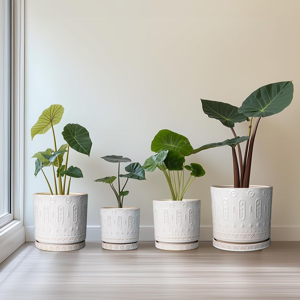 Eightpot 8 Inch Plant Pot, Ceramic Planter for Indoor Plants Outdoor, Round Planter with Drainage Hole and Tray, Boho