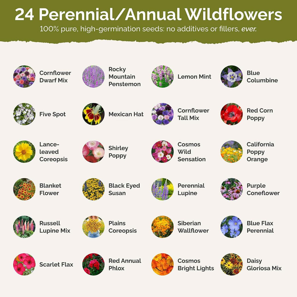 Eden Brothers Western Wildflower Mixed Seeds for Planting, 10 lb, 4,800,000+ Seeds with Cornflower, Blanket Flower