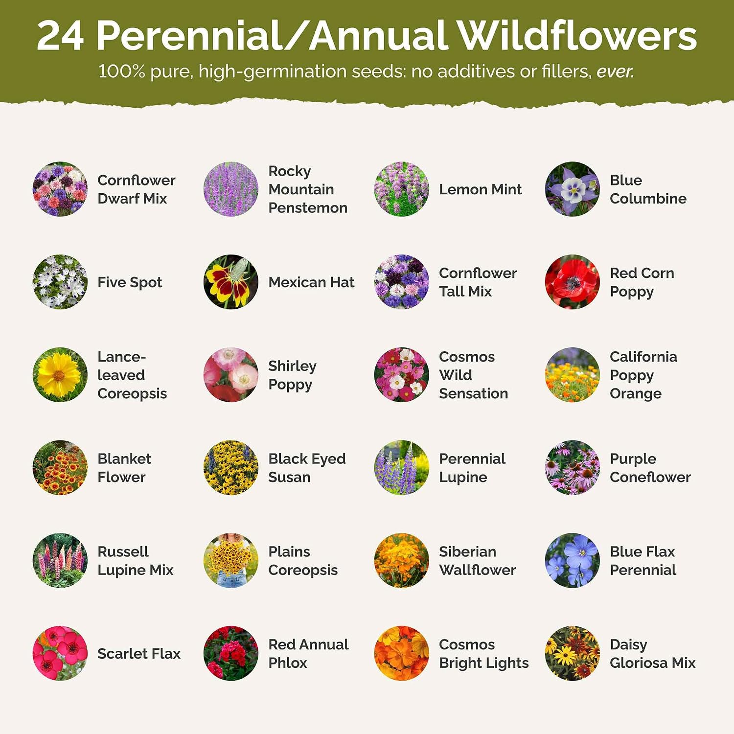 Eden Brothers Western Wildflower Mixed Seeds for Planting, 1 lb | 480,000+ Seeds with Cornflower, Blanket Flower