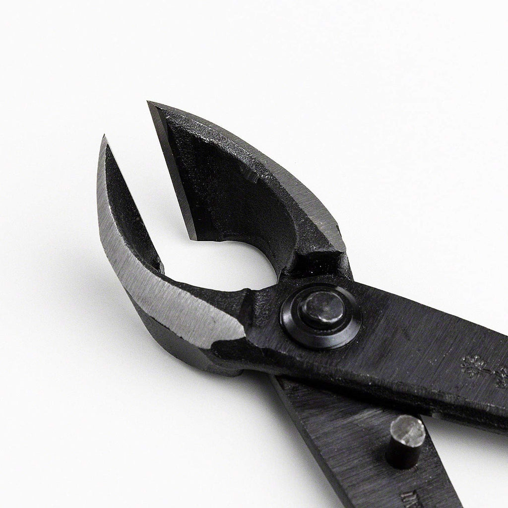 Wazakura Japanese Bonsai Tool Kit Made in Japan - Satsuki Scissors 7inch(180mm) + Concave Branch Cutter 8inch(200mm)