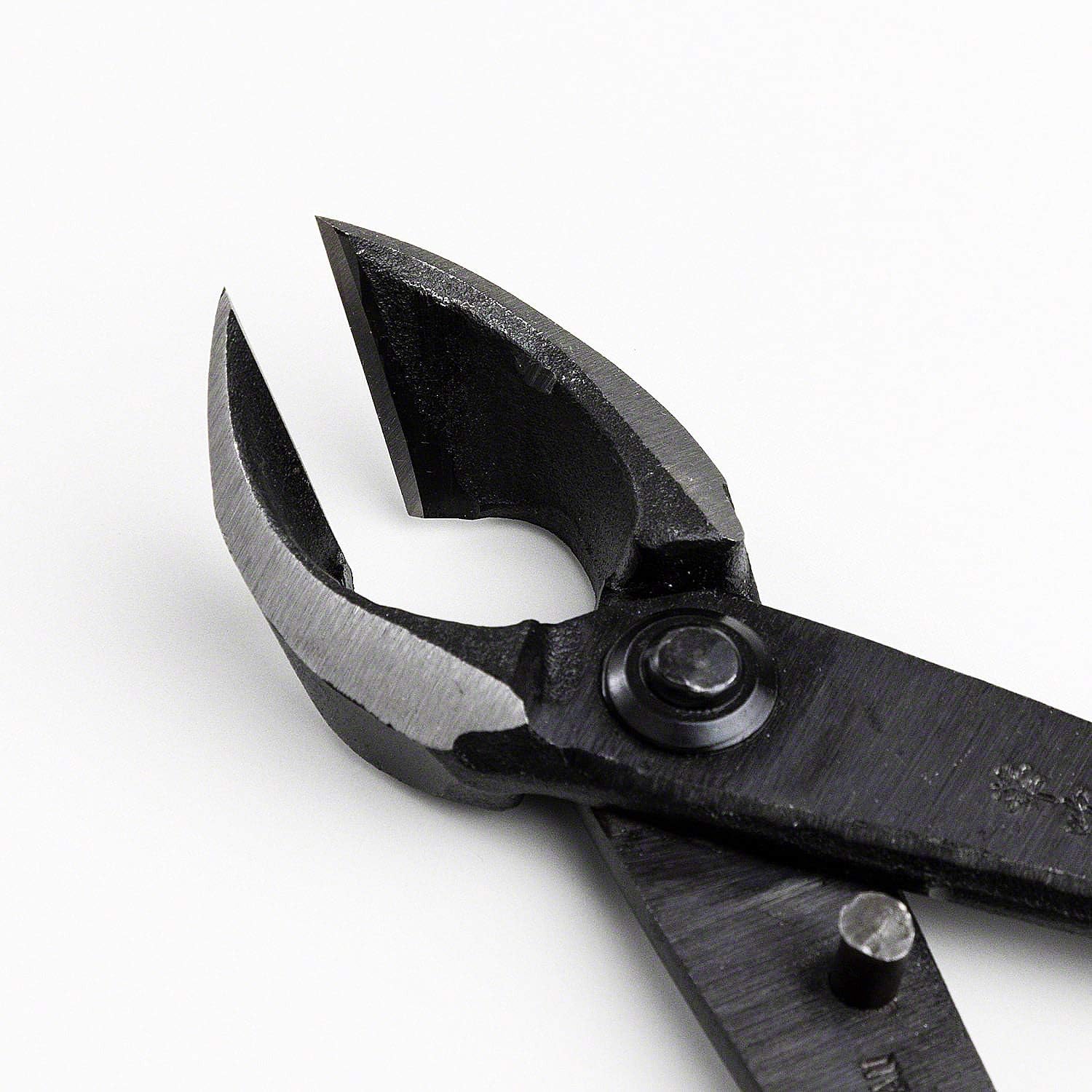 Wazakura Japanese Bonsai Tool Kit Made in Japan - Satsuki Scissors 7inch(180mm) + Concave Branch Cutter 8inch(200mm)