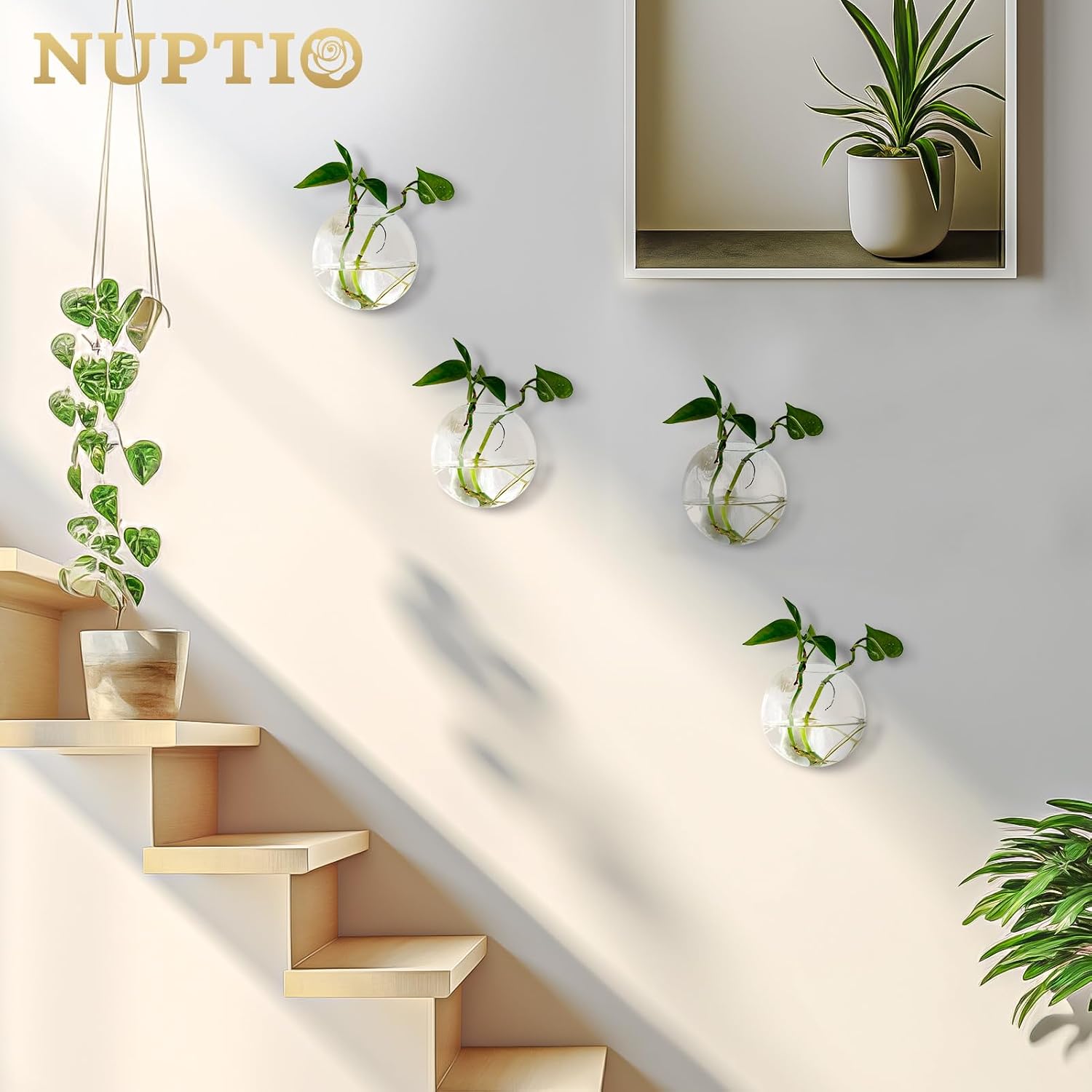 NUPTIO Glass Wall Hanging Planters: Propagation Station for Plants, 4 Pcs | Wall Mount Clear Vase, Terrarium for