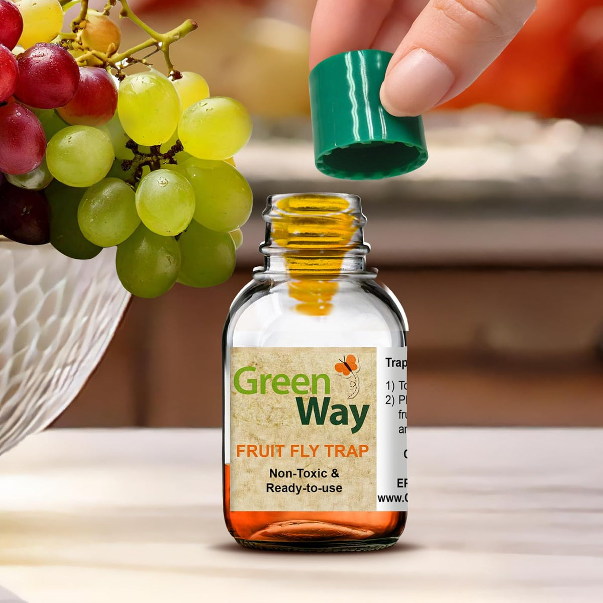 Greenway Traps Fruit Fly Trap, Indoor and Kitchen, 2 Packs (4 Traps) | Reduced Fruit Fly Infestations, Non-Toxic