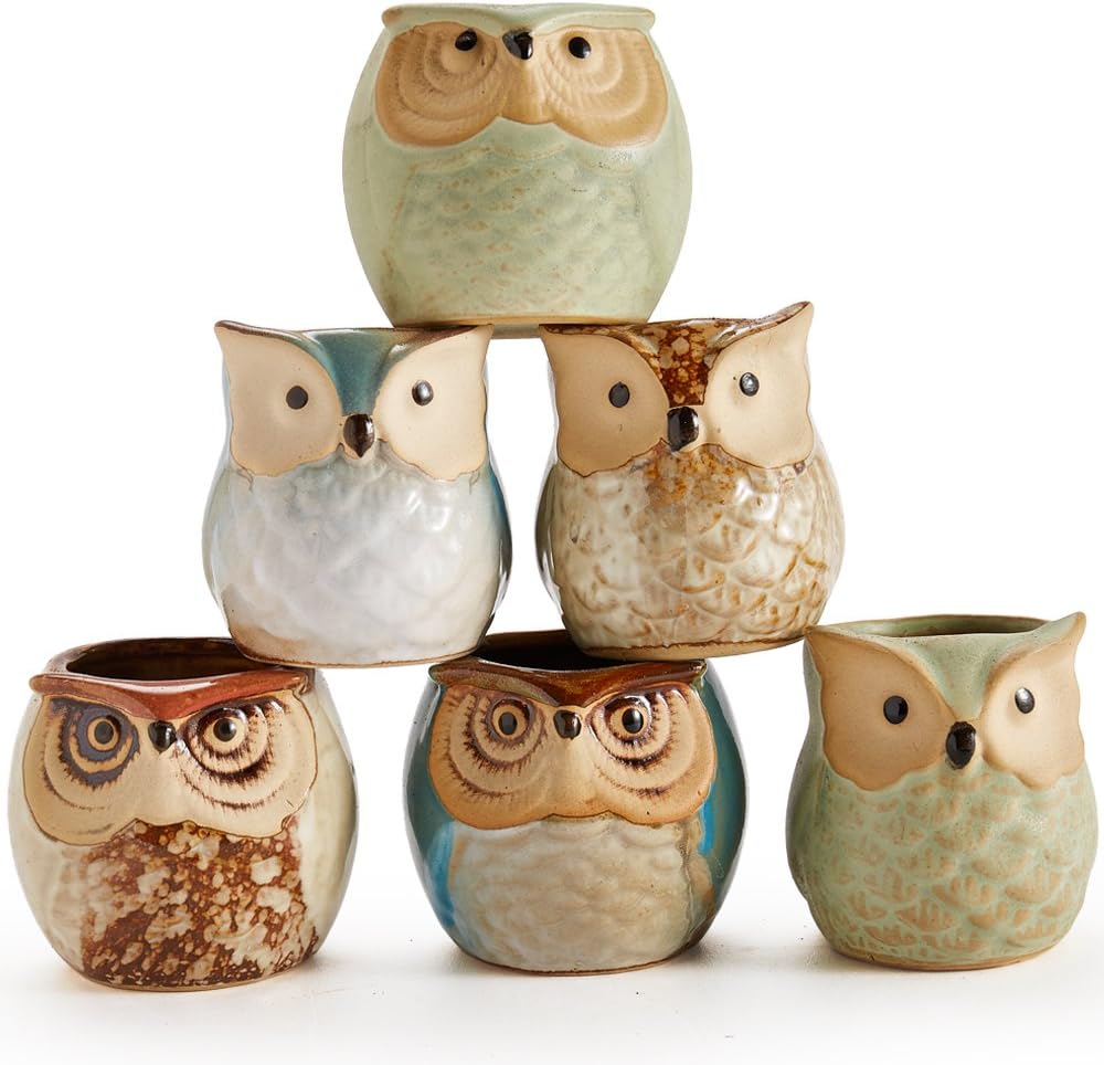 Owl Pot Ceramic Flowing Glaze Base Serial Set Succulent Plant Pot Cactus Plant Pot Flower Pot Container Planter with