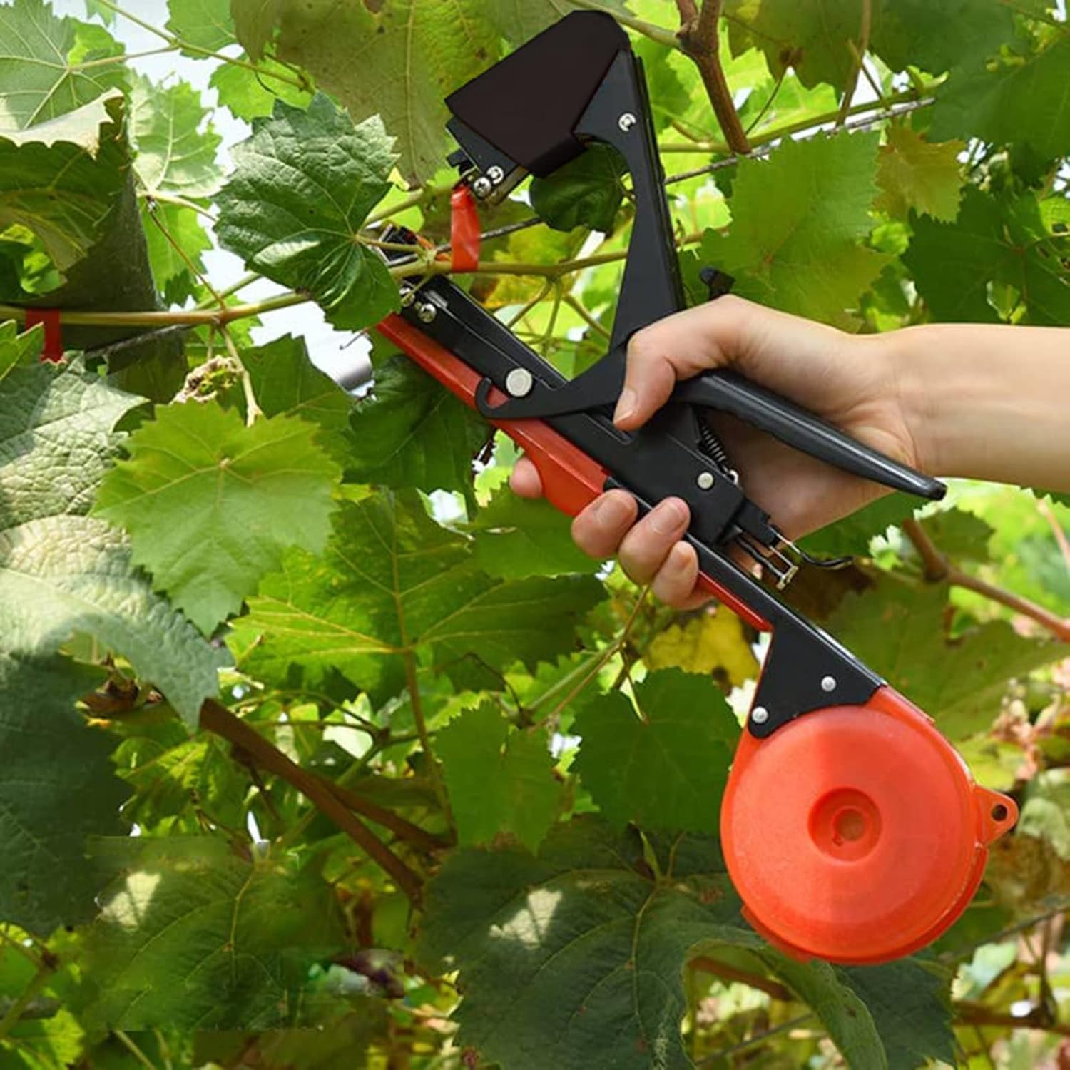 Plant Tying Machine,Plant Vine Tying Machine Tool with 10000pcs Staples 20 Rolls Tape Plant Tape Gun for