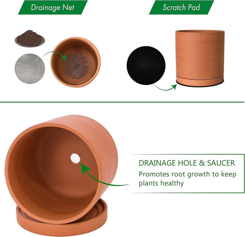 D'vine Dev Terracotta Plant Pot with Saucer, 6 Inch, 40-X-A-3 | Cylinder Shape, Timeless Style, Unglazed Terracotta