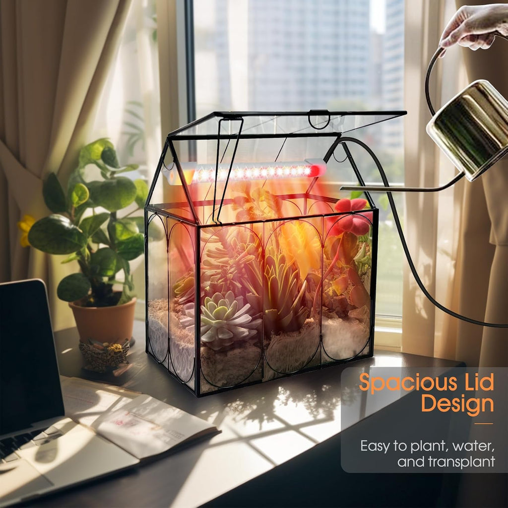 RIFNY Plant Terrarium with Grow Light, Glass Terrarium 8.9 x 5.9 x 9.9 Inch | Terrarium with LED Grow Light and