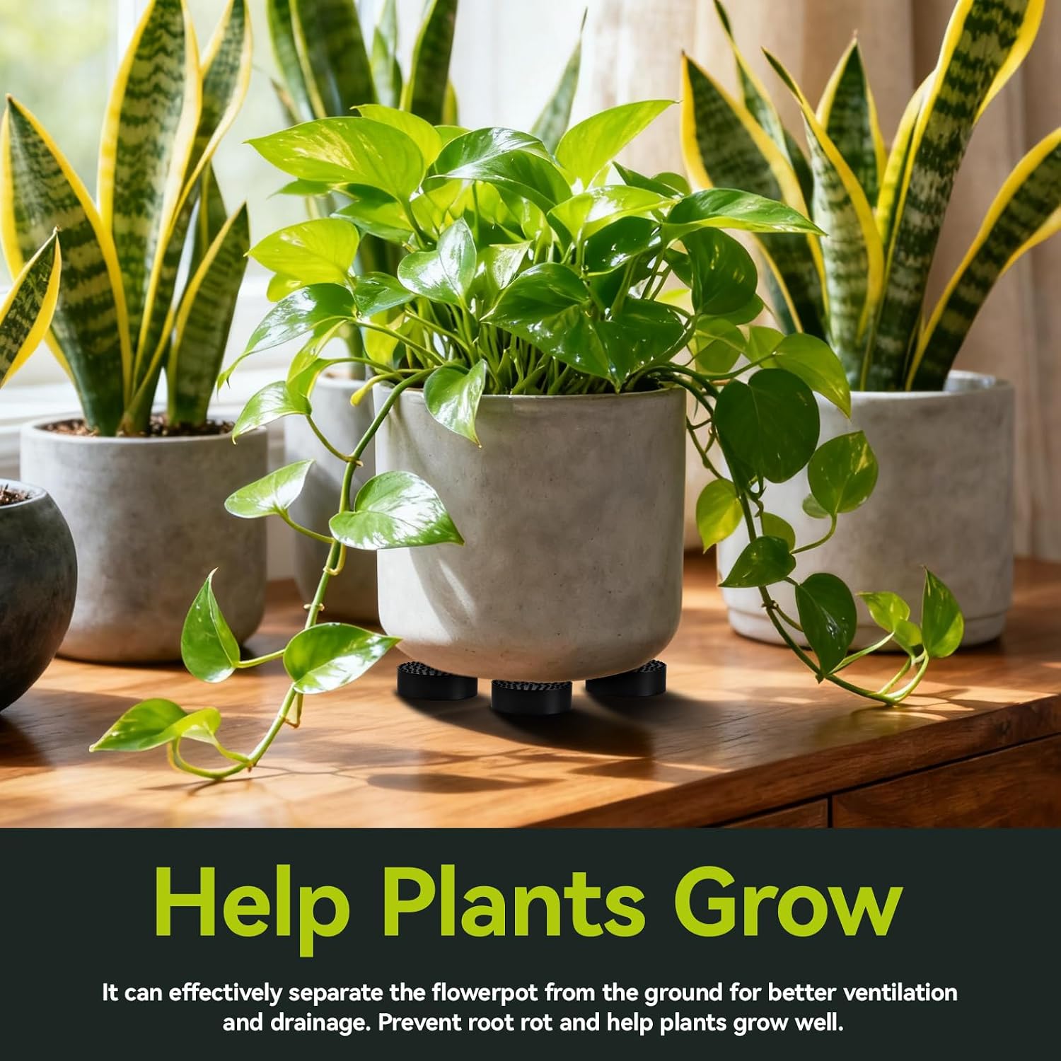 28 Pcs Plant Pot Feet | Non-Slip Surface for Plant Pots, Solid Rubber Pots Risers, Pot Lifters for Indoor or Outdoor