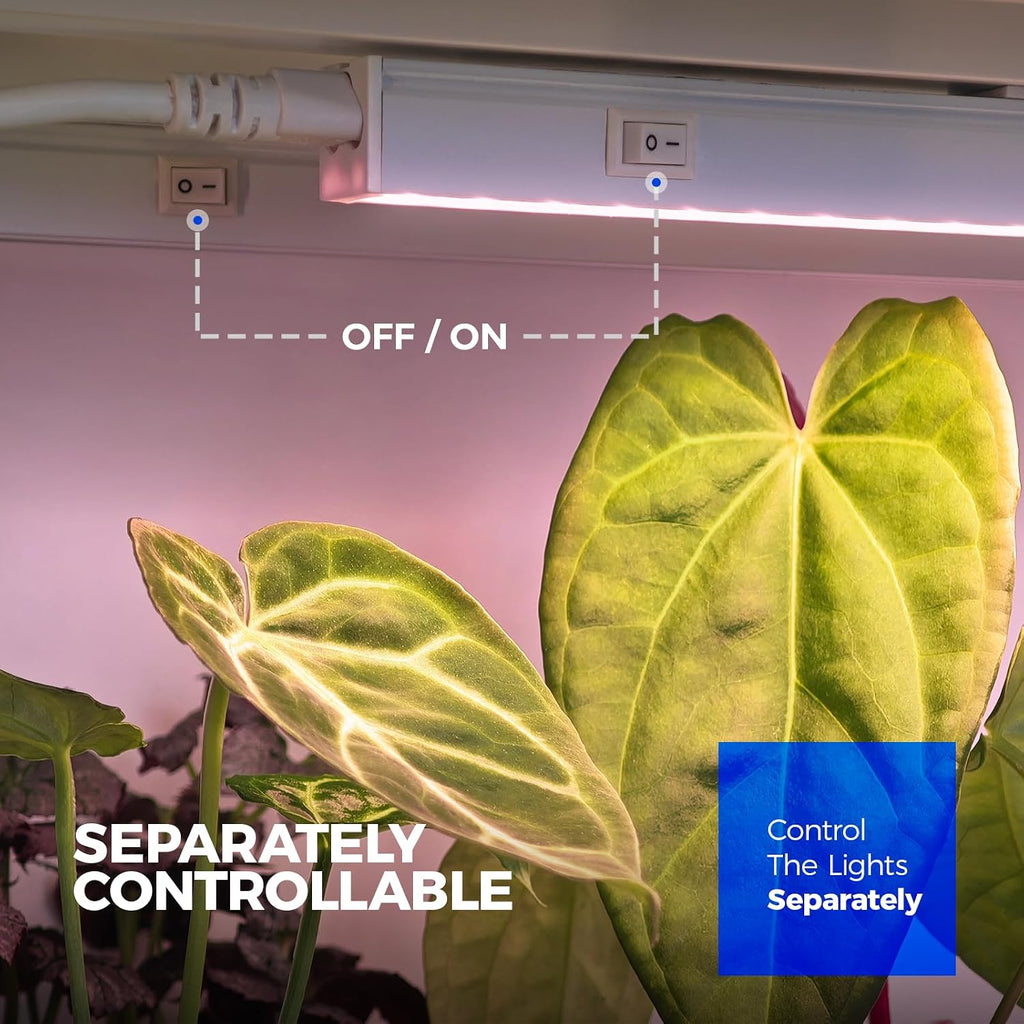 Barrina Grow Light for Indoor Plant, T5 1FT Full Spectrum Sunlight, 4 Packs | Pinkish White Grow Lamp, Linkable LED