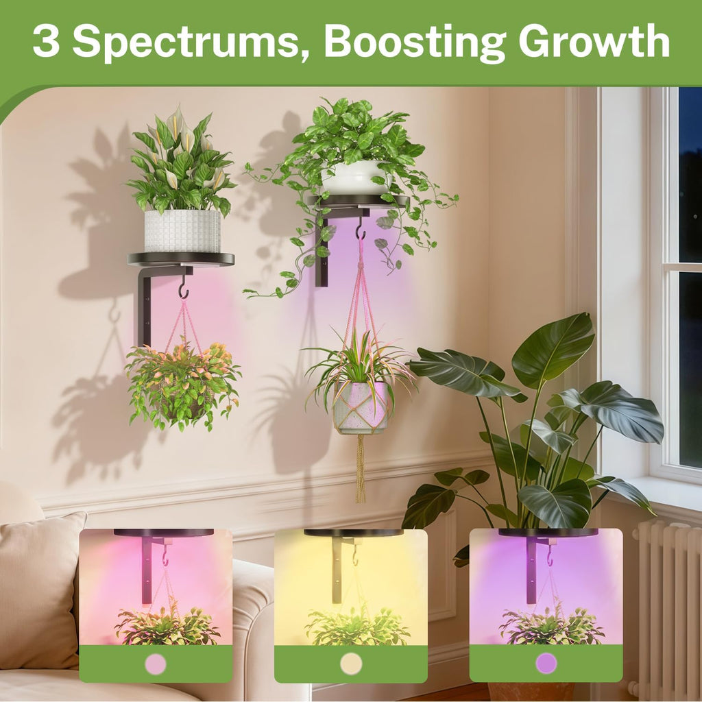 iDavosic.ly Plant Wall Hanger with Grow Lights Set of 2 for Indoor, Black | Metal Floating Flower Display Holder Stand
