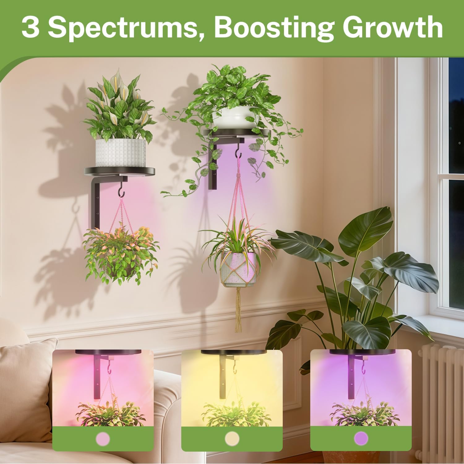 iDavosic.ly Plant Wall Hanger with Grow Lights Set of 2 for Indoor, Black | Metal Floating Flower Display Holder Stand