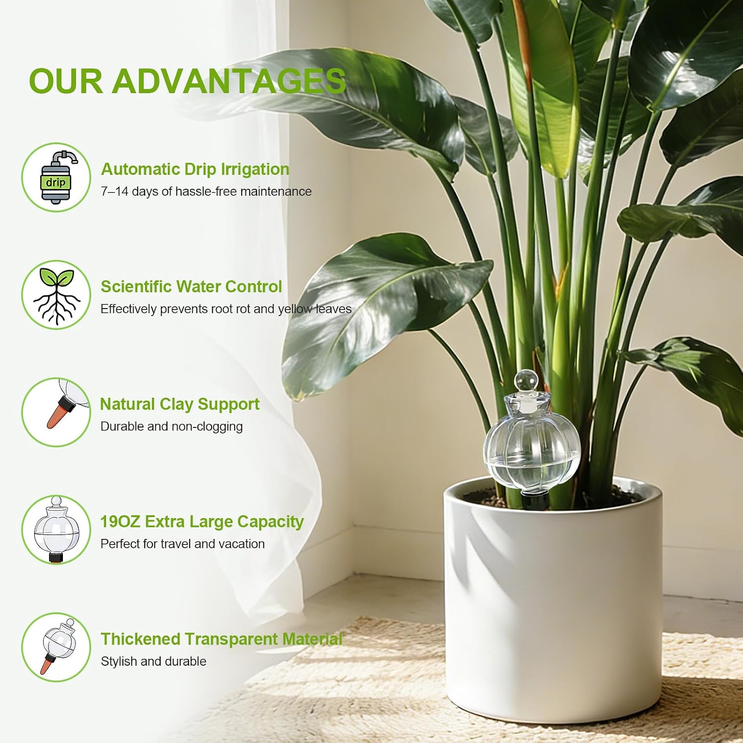 18 Oz Large Plant Watering Globes & Self Watering Bulbs, Water Globes & Bulbs for Indoor Outdoor Plants, Plant Globes