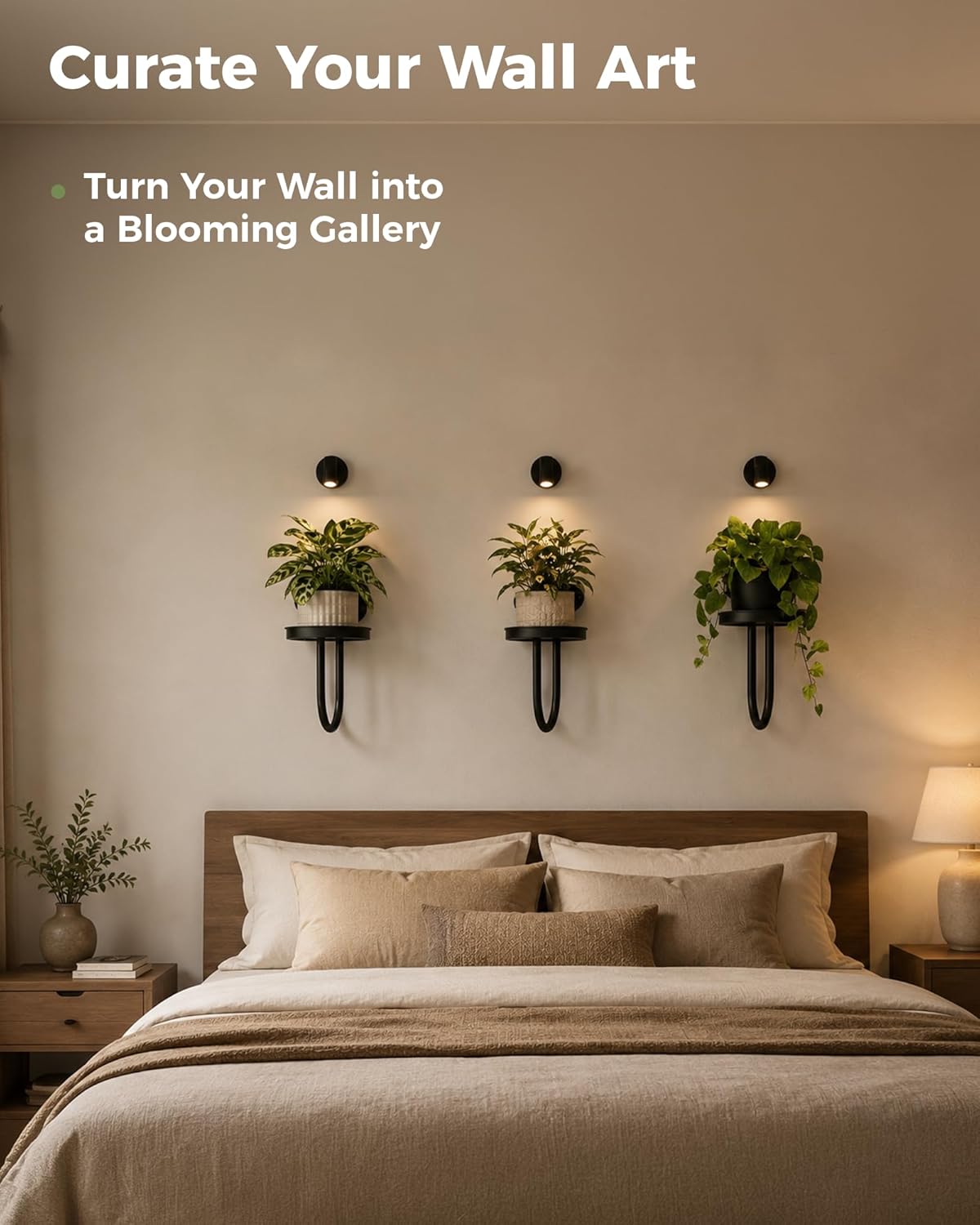 Bamworld Wall Plant Holder with Lights, Black, 3pcs | Thickened Metal, Heavy-duty, Rust Resistant, Remote Control