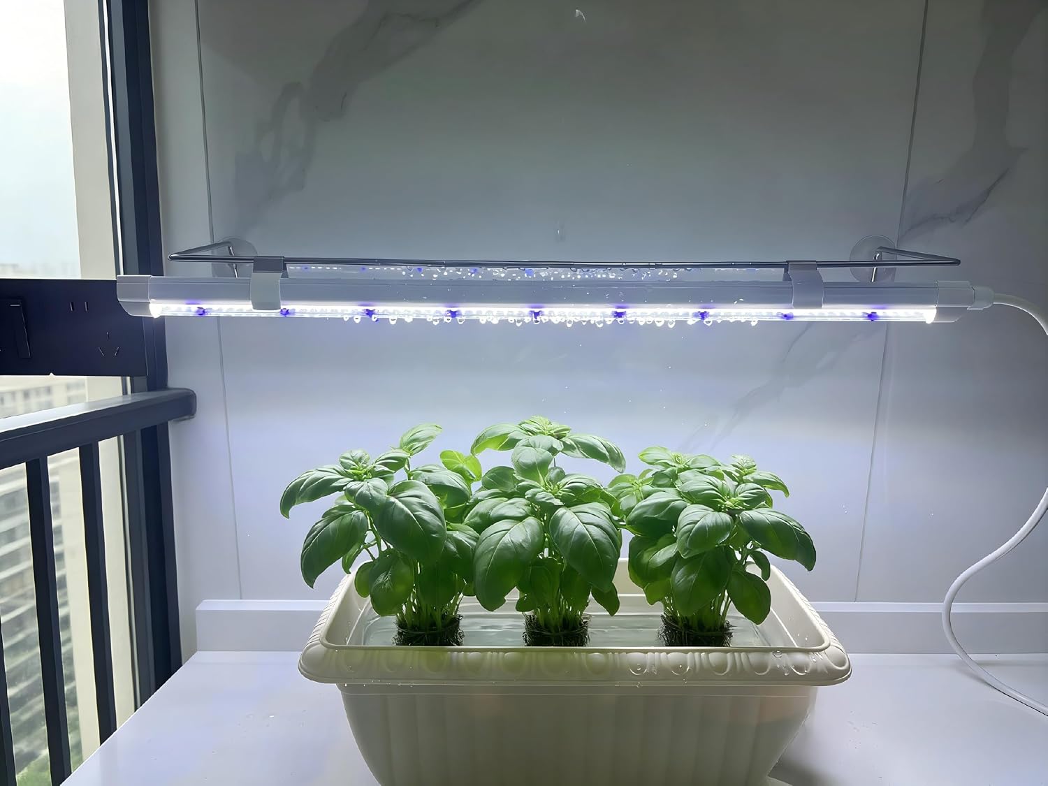 2FT Suction Cup Style Plant Grow Light,12W, LED Grow Lamp Fixture on wall, Seed Starter kit, 6500K Cool White, Enhanced