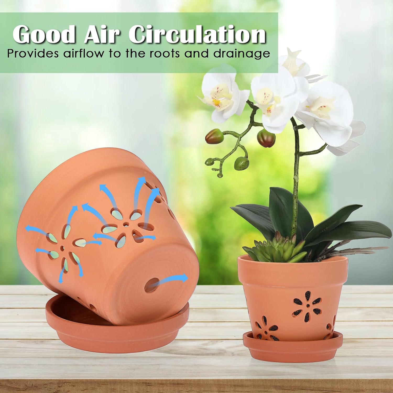 JUXYES Small 4" Hollowed Out Terracotta Orchid Pots with Holes and Saucer | 6 Pack Natural Rustic Clay Planter Pots for
