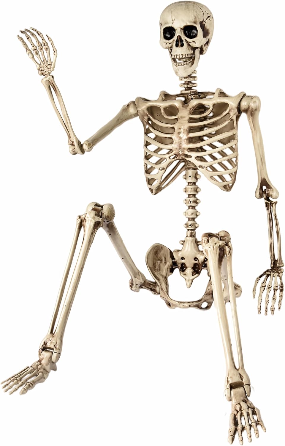 TOY Life 4 Pcs Halloween Skeleton 16" Posable Skeleton Decor, Full Body Posable Joints Outdoor Skeletons, Halloween Skeletons Decorations Outdoor Indoor, Plastic Hanging Skeleton Decorations