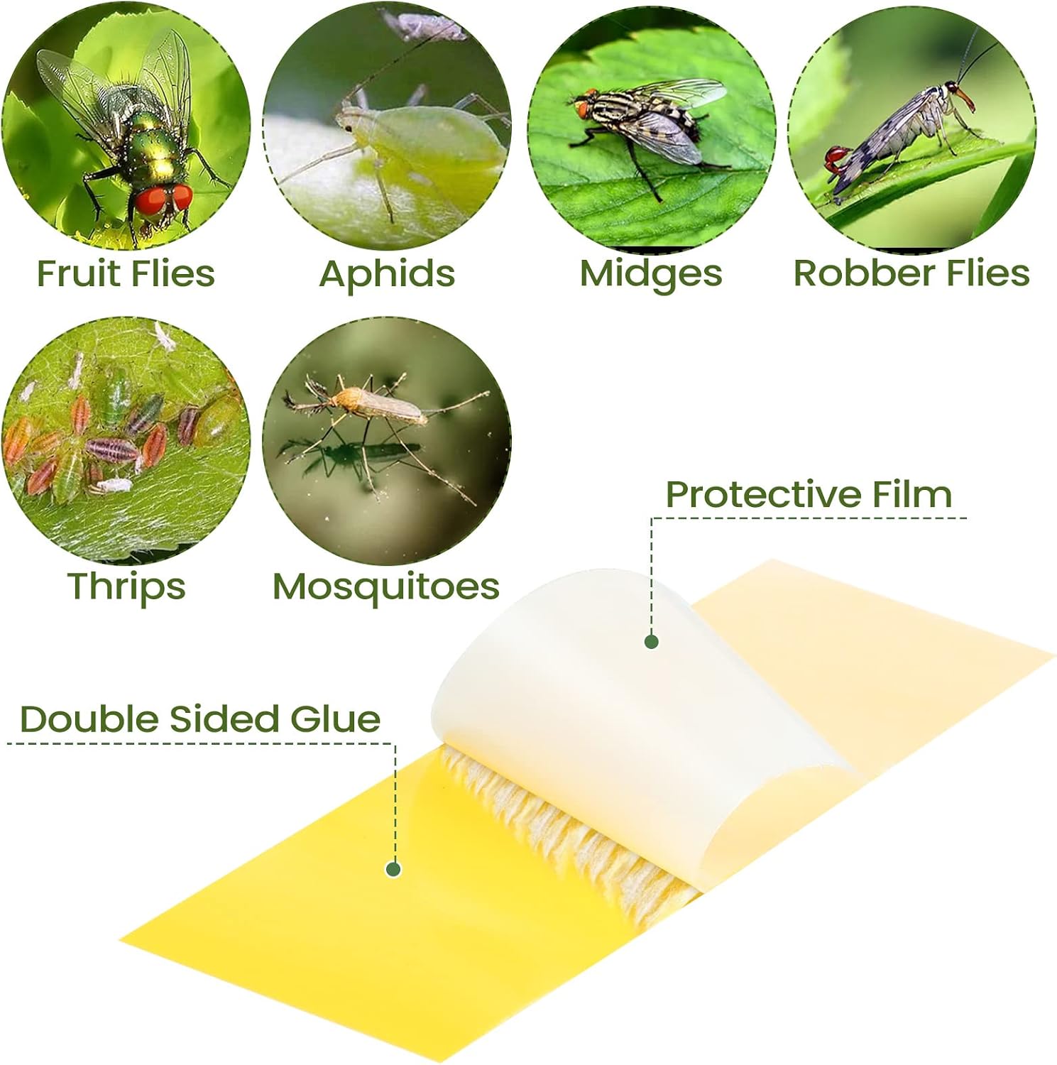 Qualirey 200 Pcs Sticky Houseplant Traps Fungus Gnat Fruit Fly Trap Sticky Houseplant Stakes Insect for Indoor Outdoor