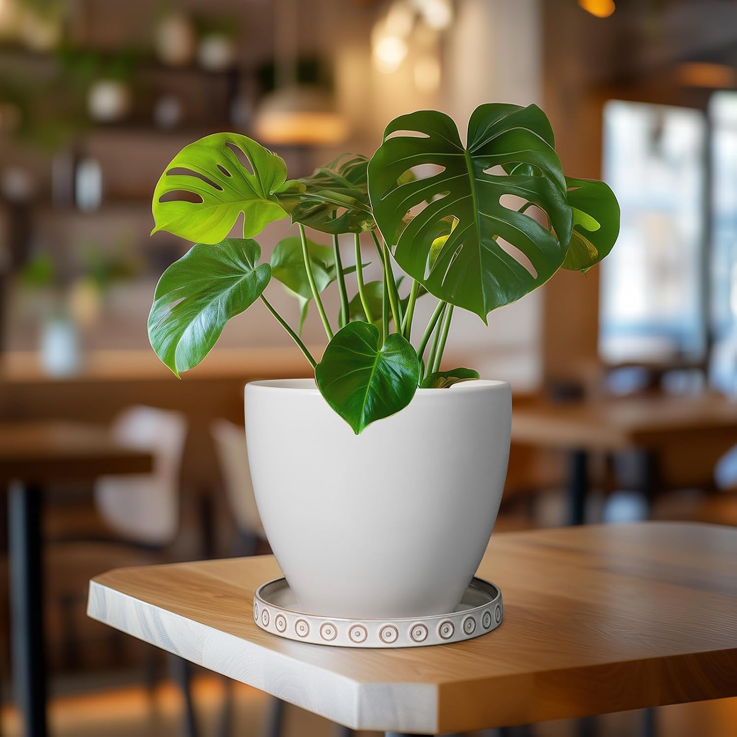 Eightpot Plant Tray for Pots - Ceramic Plant Saucer for Indoors Outdoors 7.5 Inch Plant Water Catcher Tray Plant