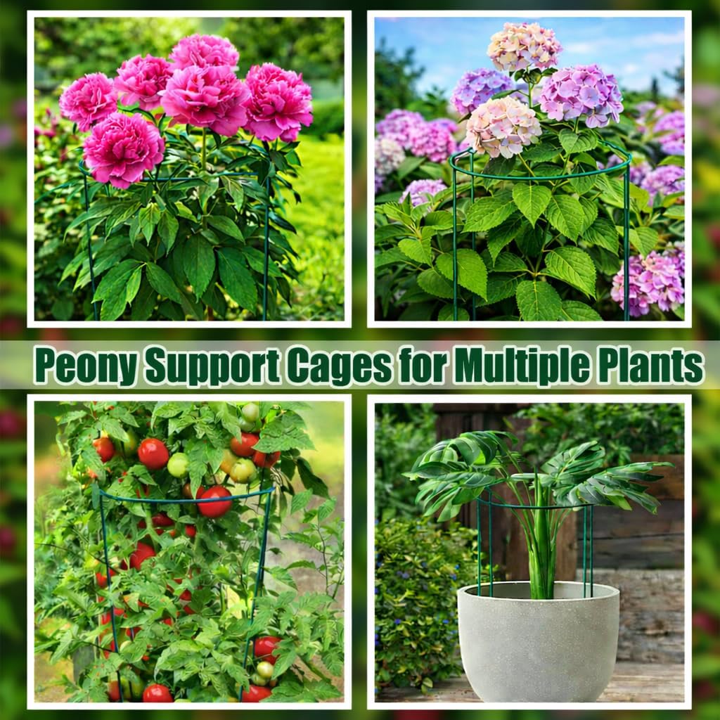 8 Pack Peony Support Cages, 10" W x 16" H Half Round Peony Plant Supports, Heavy Duty Metal Plant Support Stakes, Green