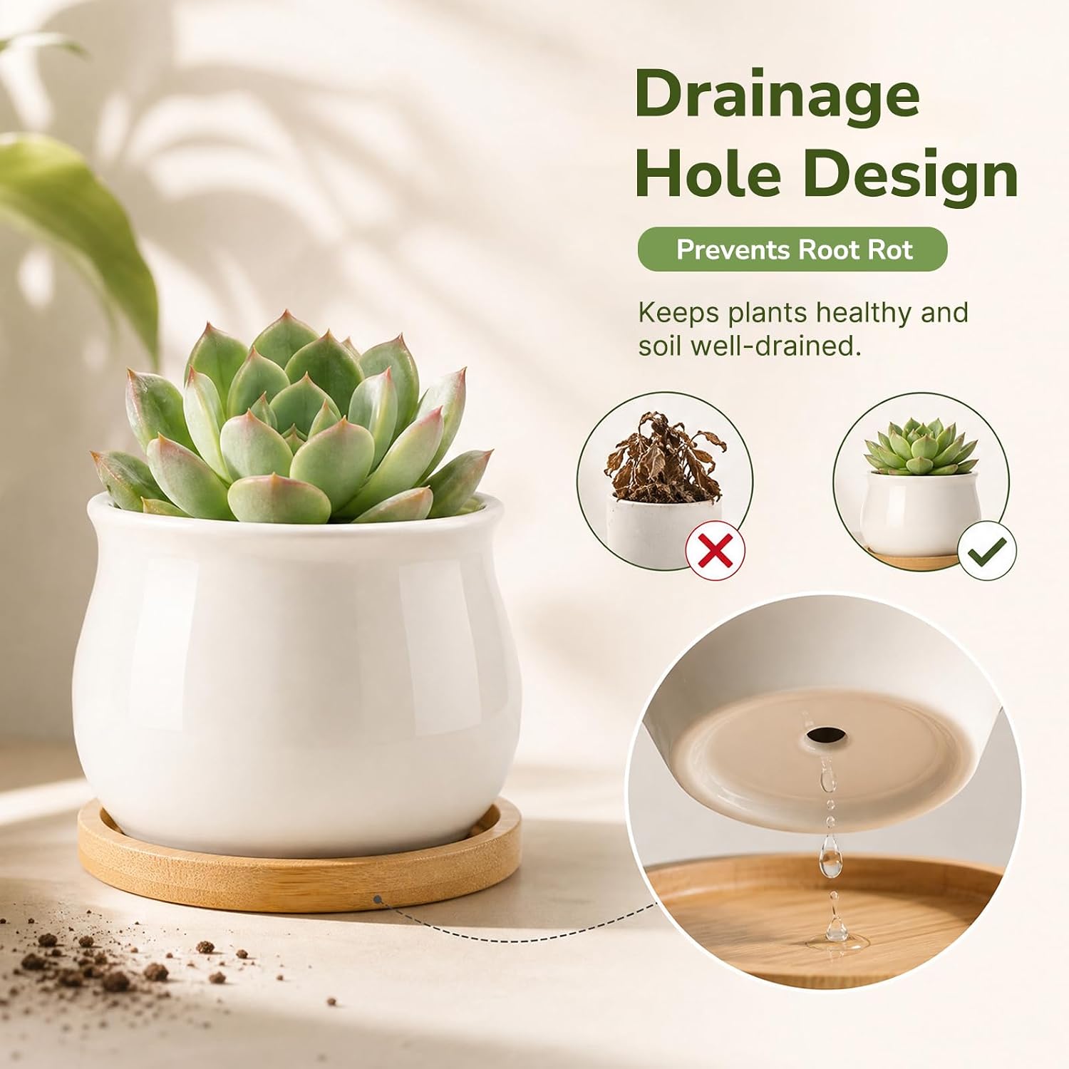 ZOUTOG 12 Pack Succulent Pots, 2.6 Inch Mini Ceramic Pots for Flower or Cactus Plants with Drainage Hole,Plants Not