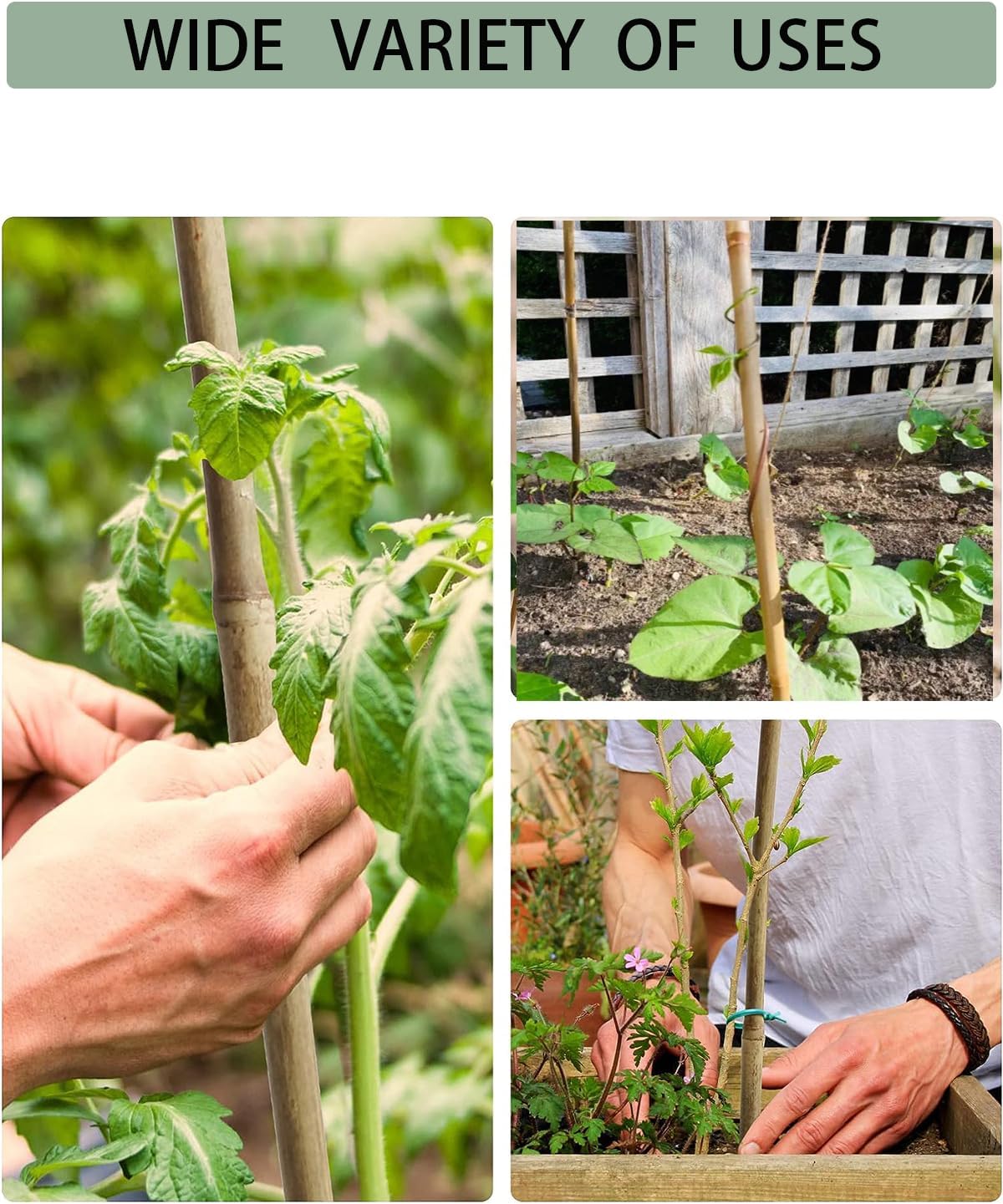 4 Ft Bamboo Stakes with 100 Twist Ties Natural Bamboo Garden Stakes for Tomatoes Cucumber Grapes Pole Beans Trees