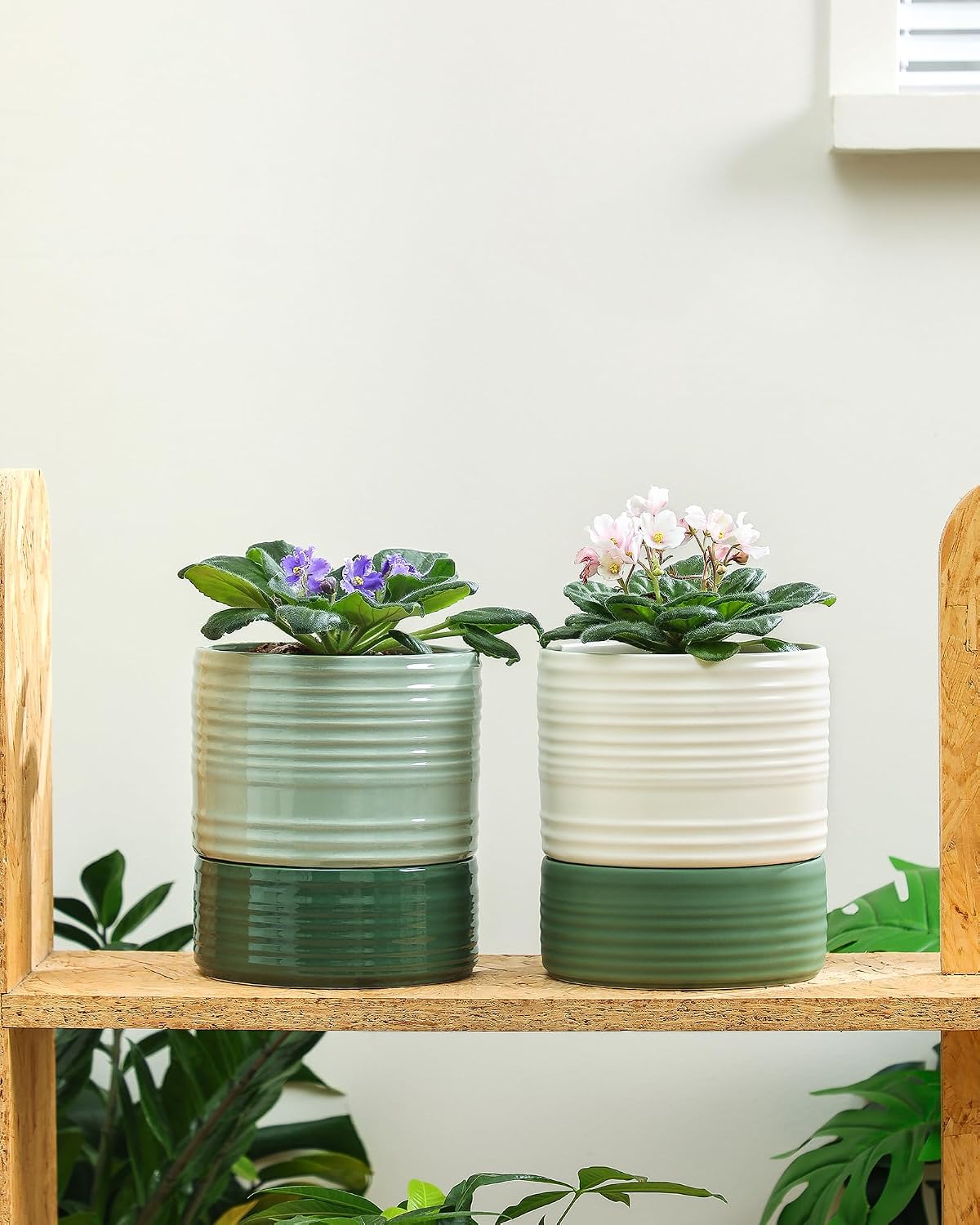 Fayoula Self Watering Pots for Indoor Plants, 6 Inch Ceramic Self Watering Plant Pot, Planter Pot with Wick Rope and