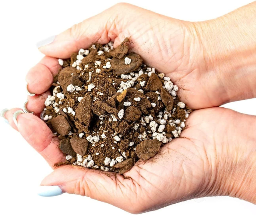 Palm Tree Potting Mix - The Ultimate Soil for Strong and Healthy Palms - Top Choice for Palm Tree Growers [5 Quart Bag]
