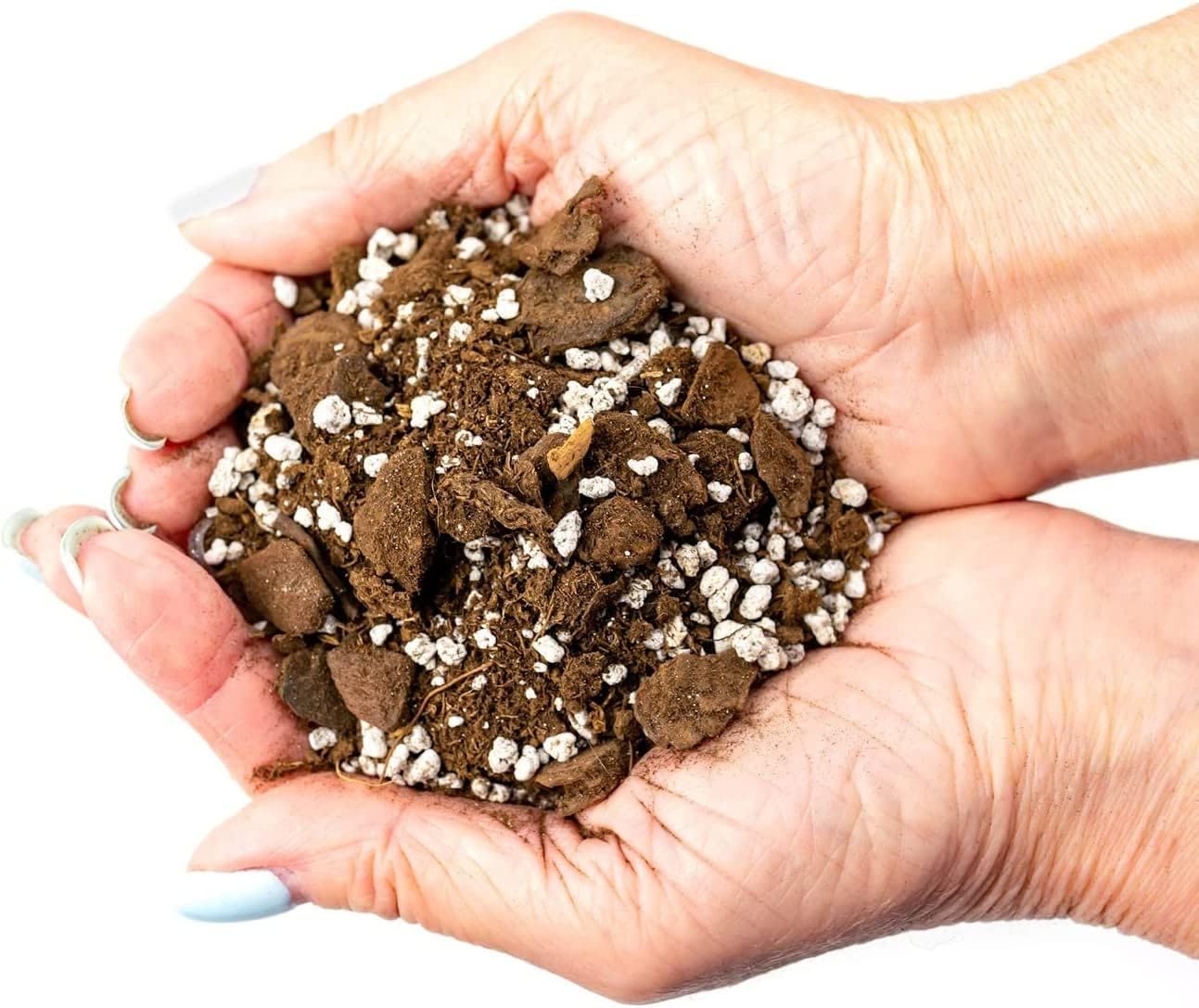 Palm Tree Potting Mix - The Ultimate Soil for Strong and Healthy Palms - Top Choice for Palm Tree Growers [5 Quart Bag]