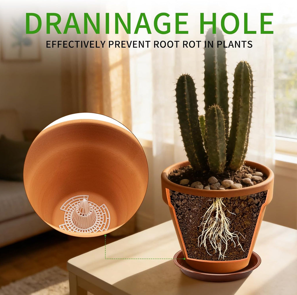 6 Pack 6 Inch Terracotta & Clay Pots with Saucer for Plants, Breathable Clay Planters Flowerpot Terra Cotta Flowerpot