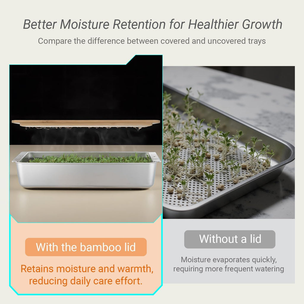 Microgreens Growing Kit – Stackable Stainless Steel Sprouting Tray with Wood Lid, Sprouts Growing Kit for Indoor