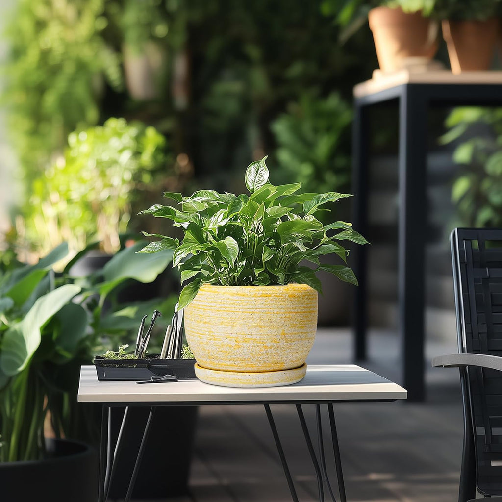 SQOWL Ceramic Flower Pots - 8 inch Plant Pot Indoor with Drainage Hole and Saucer, Modern Ceramic Planter Outdoor