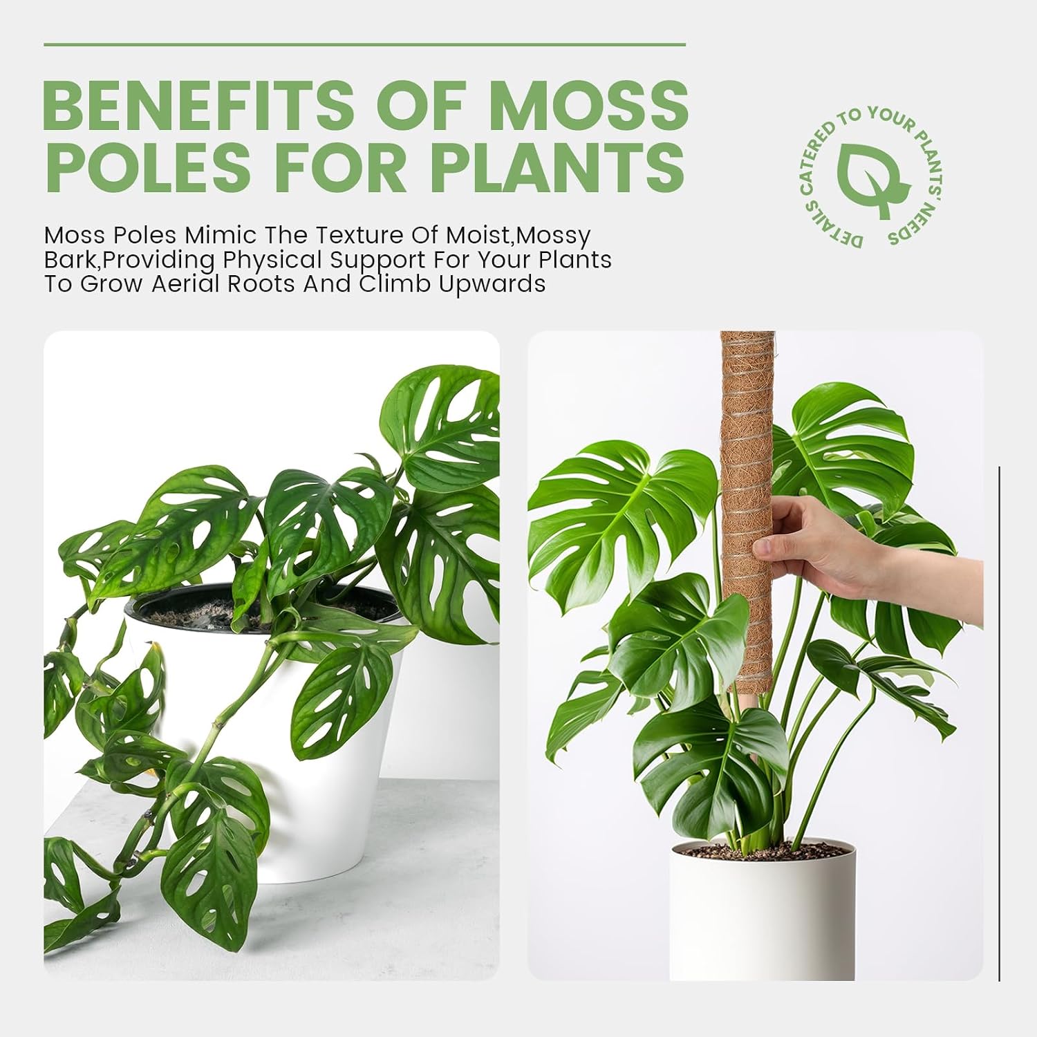 Yinder 50 Pcs Moss Pole for Plants Monstera Plant Support 16.5 Inch Coir Poles Bendable Monstera Plant Support with 10