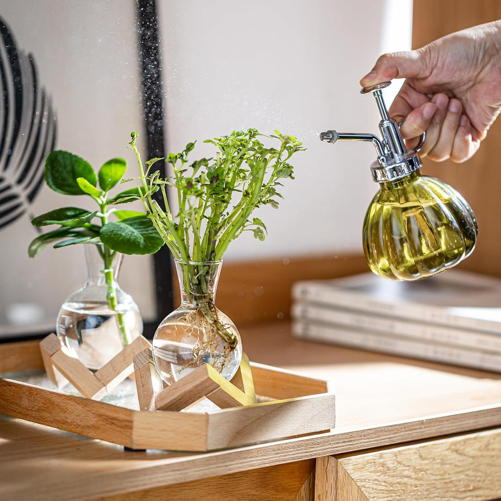 Propagation Stations, Propagation vases with Wooden Stand, Small Tabletop Glass Bulb Vases for Hydroponics Plant