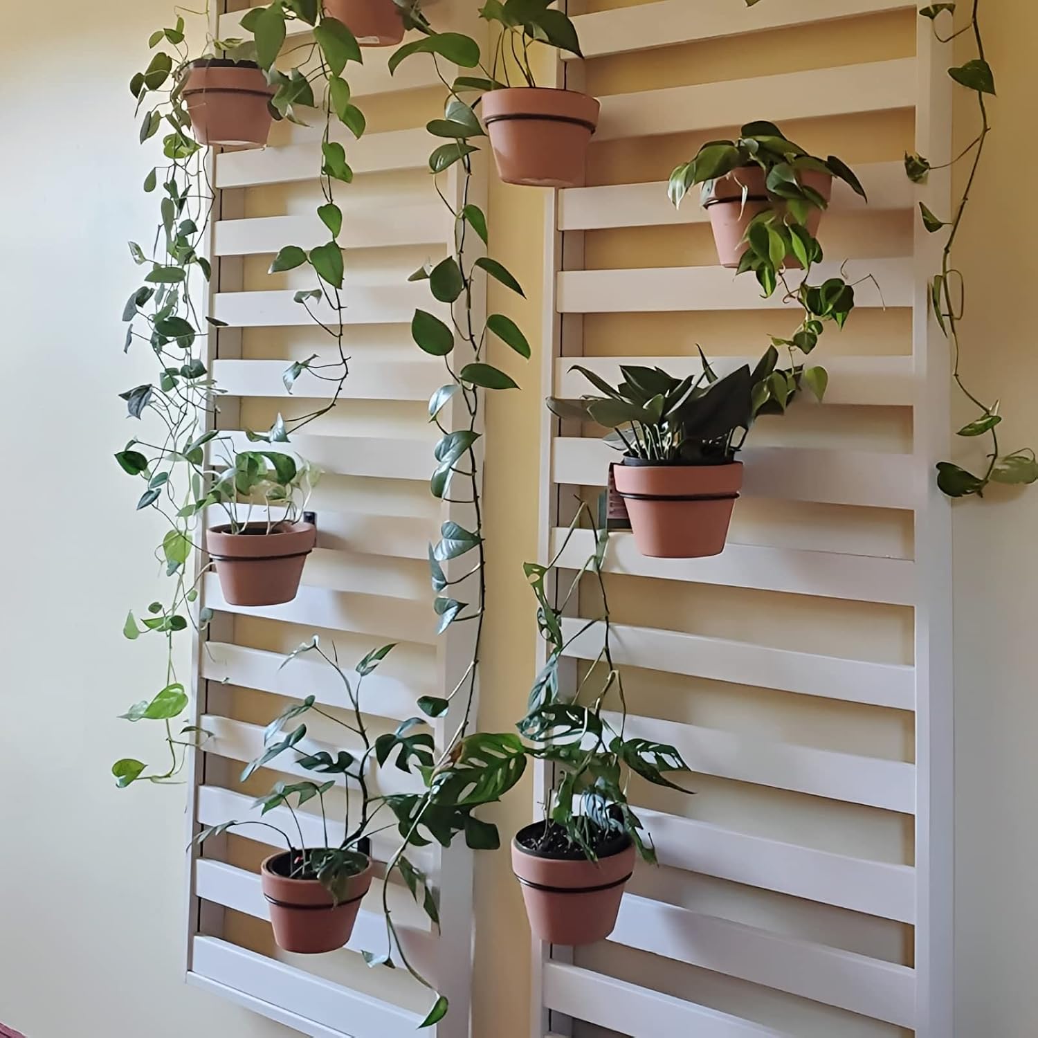 Plant Holder Ring 6 Inch Wall Mounted, 6 Pack Flower Pot Hangers Metal Plant Stand Hanging Bracket Basket Hooks