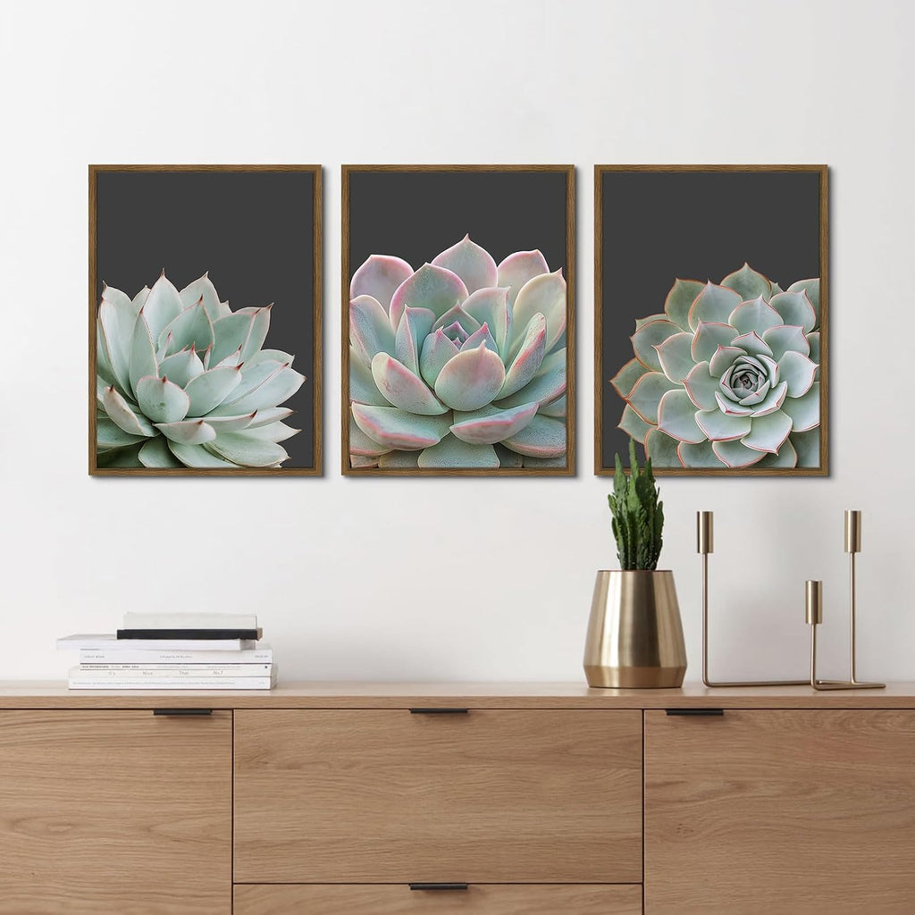 Zessonic Succulent Wall Art,Nature Plant Echeveria Wall Decor,12"x16"x3 | Nature Plant Echeveria Cactus Wall