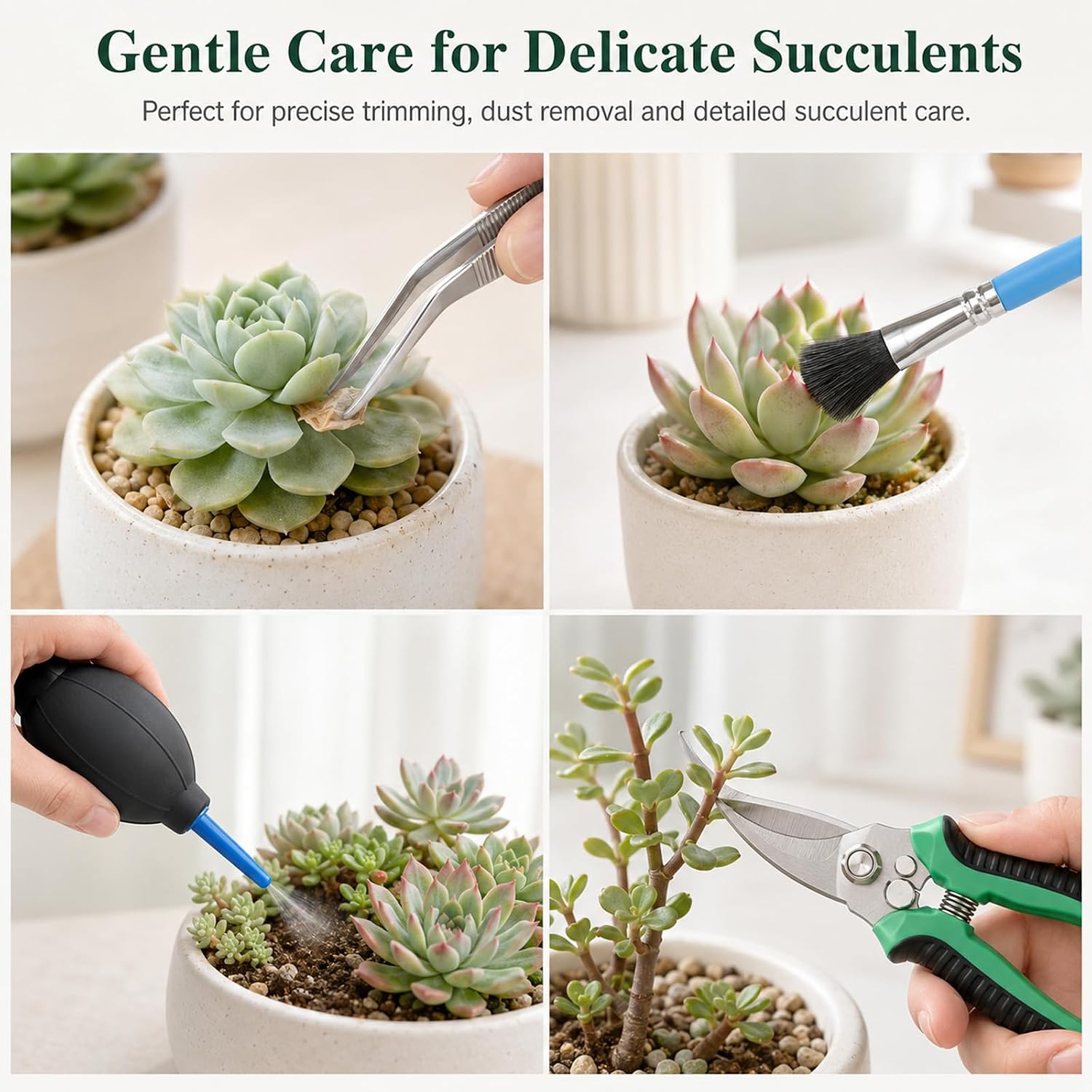 25 Pcs Succulent & Bonsai Tools Set for Beginners, Indoor Plant Care Tool Set with Repotting Mat, Organizer Tote, Soil
