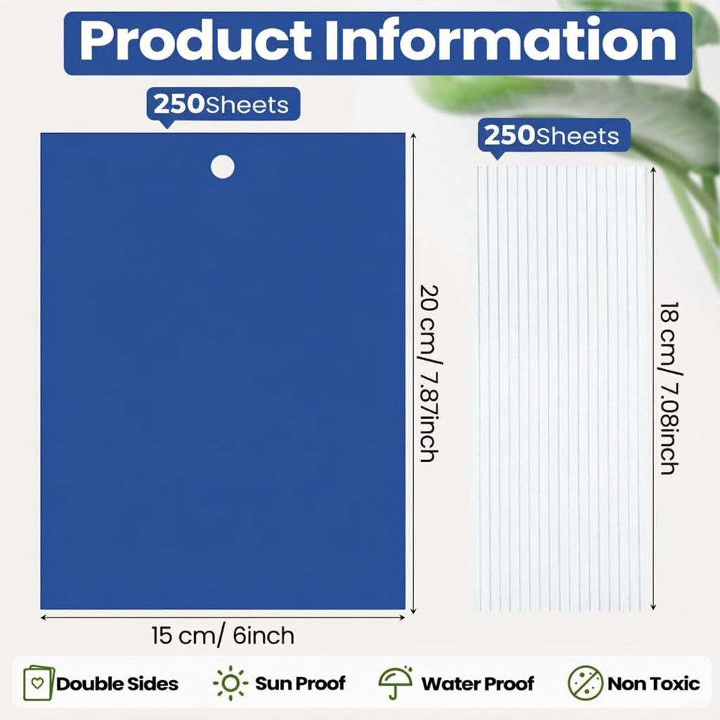 Qualirey 50 Pcs Blue Sticky Traps 6x8in for Gnats Indoor | Dual-sided for Fungus Gnats Fruit Flies Whiteflies Thrips