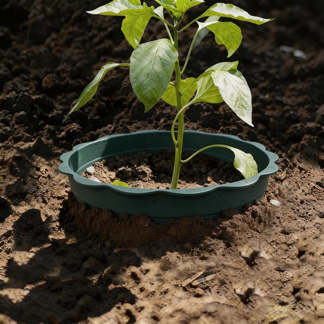 12pcs Planting Grow Rings, 10IN Round Edging Planting Protective Rings for Watering Vegetable, Herb, Flower, Circle