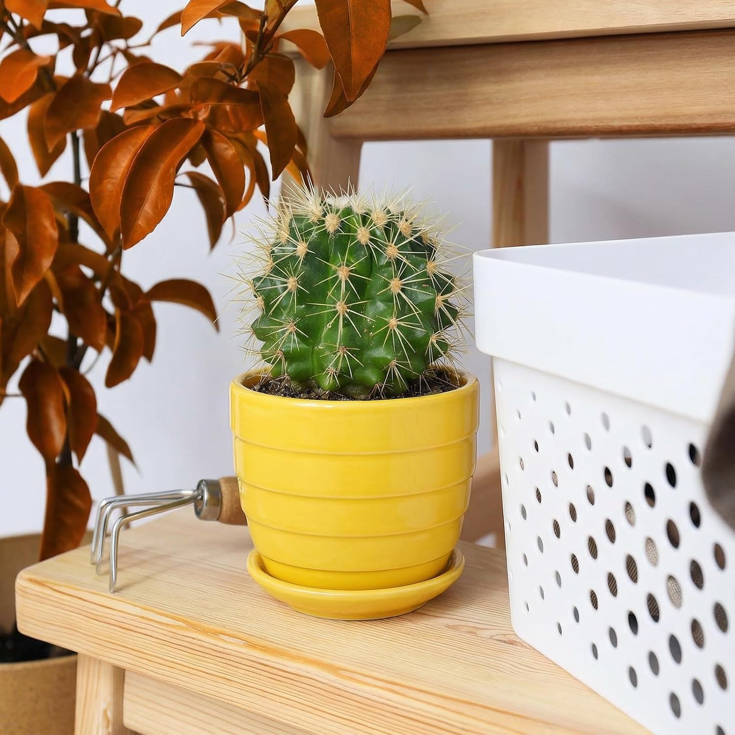 Elsjoy 6 Pack 4.3 Inch Ceramic Succulent Pots with Drainage and Attached Saucer, Small Decorative Succulent Planter