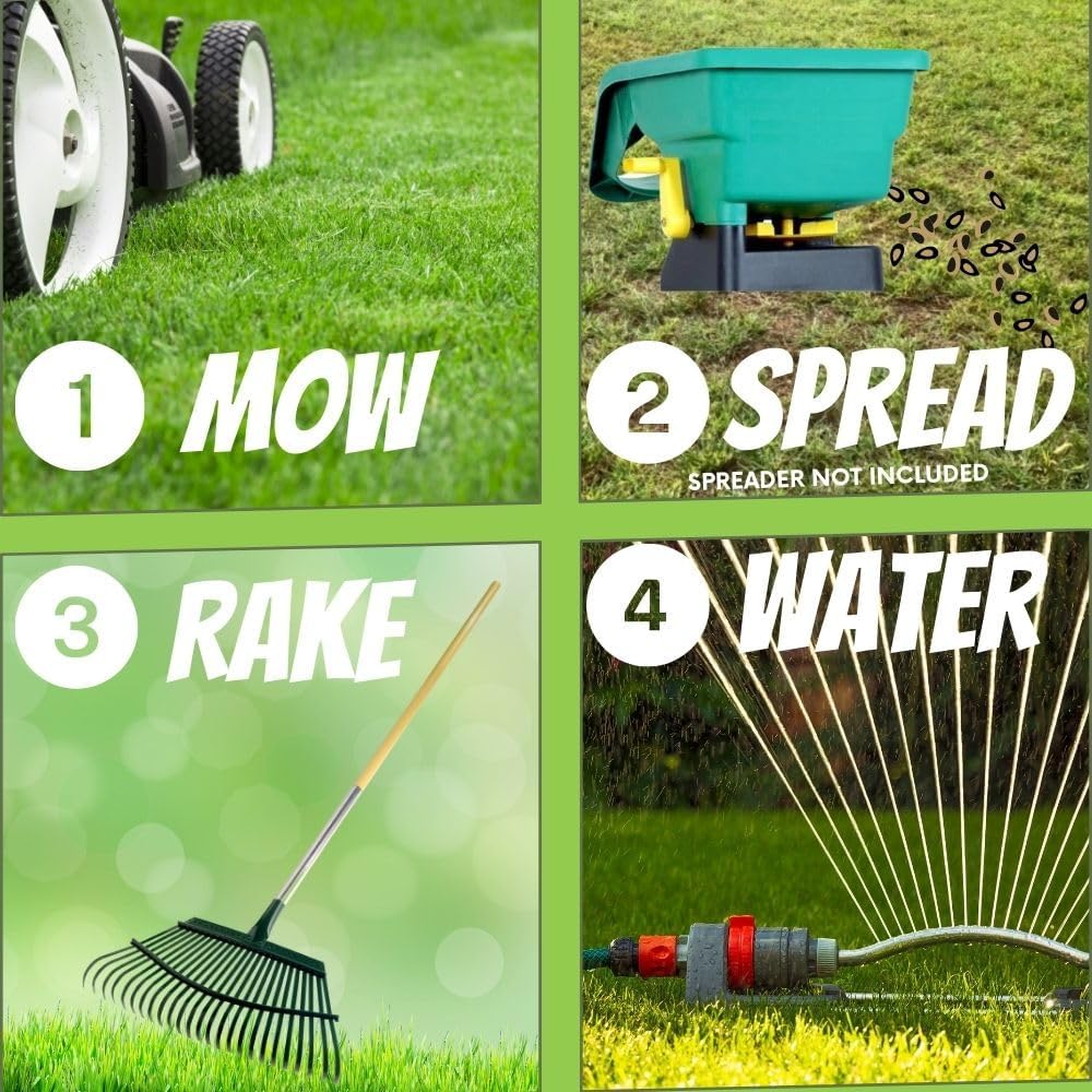 Ruff and Tuff Mow Less Fescue Grass Seed, 1 Lb, Low Maintenance, Family Friendly, Drought Tolerant, Covers up to 500 sq