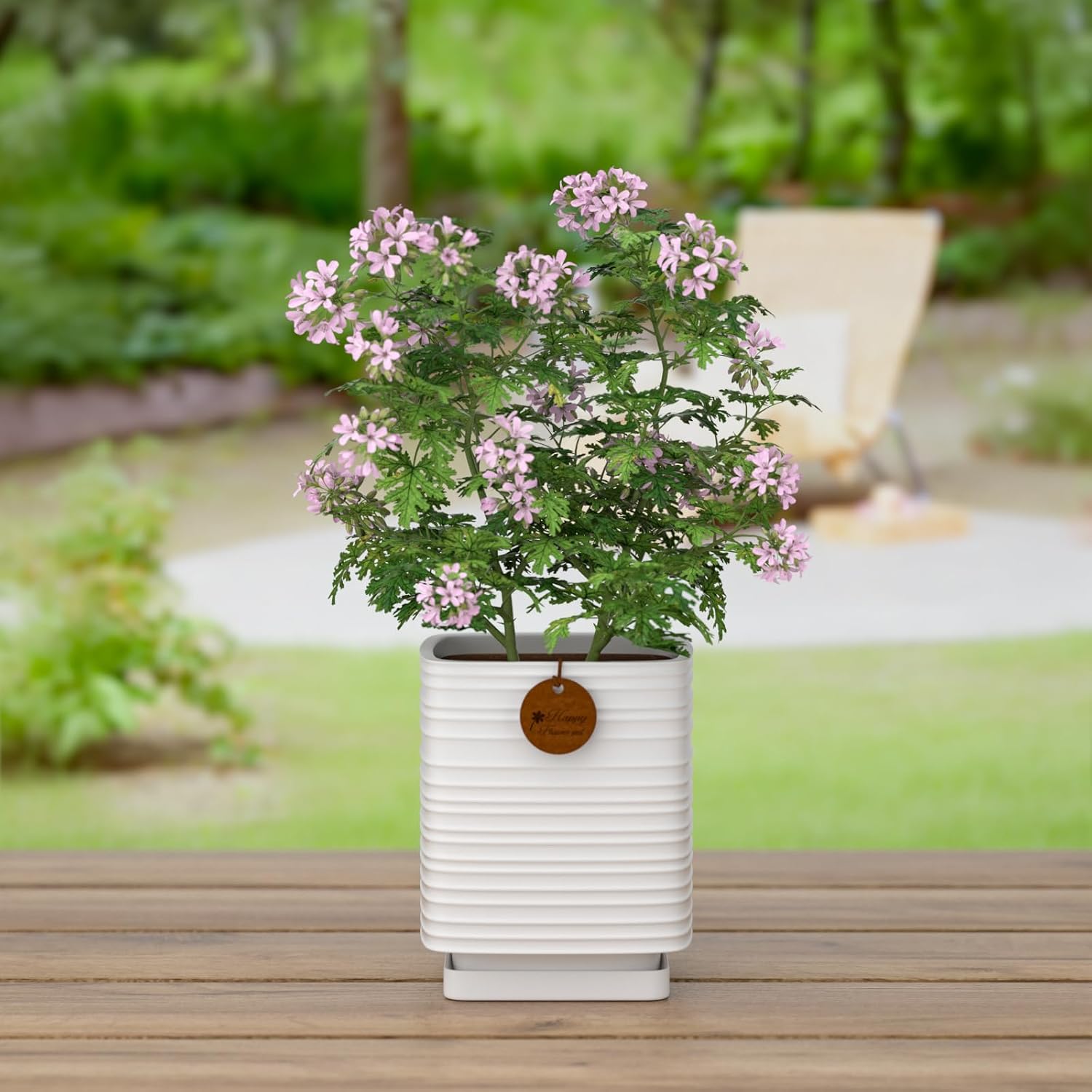 7.1 Inch White Ceramic Planter with Drainage and Saucer | 7.1 x 7.1 x 8.5 Inches | Ideal for Indoor and Outdoor Plants