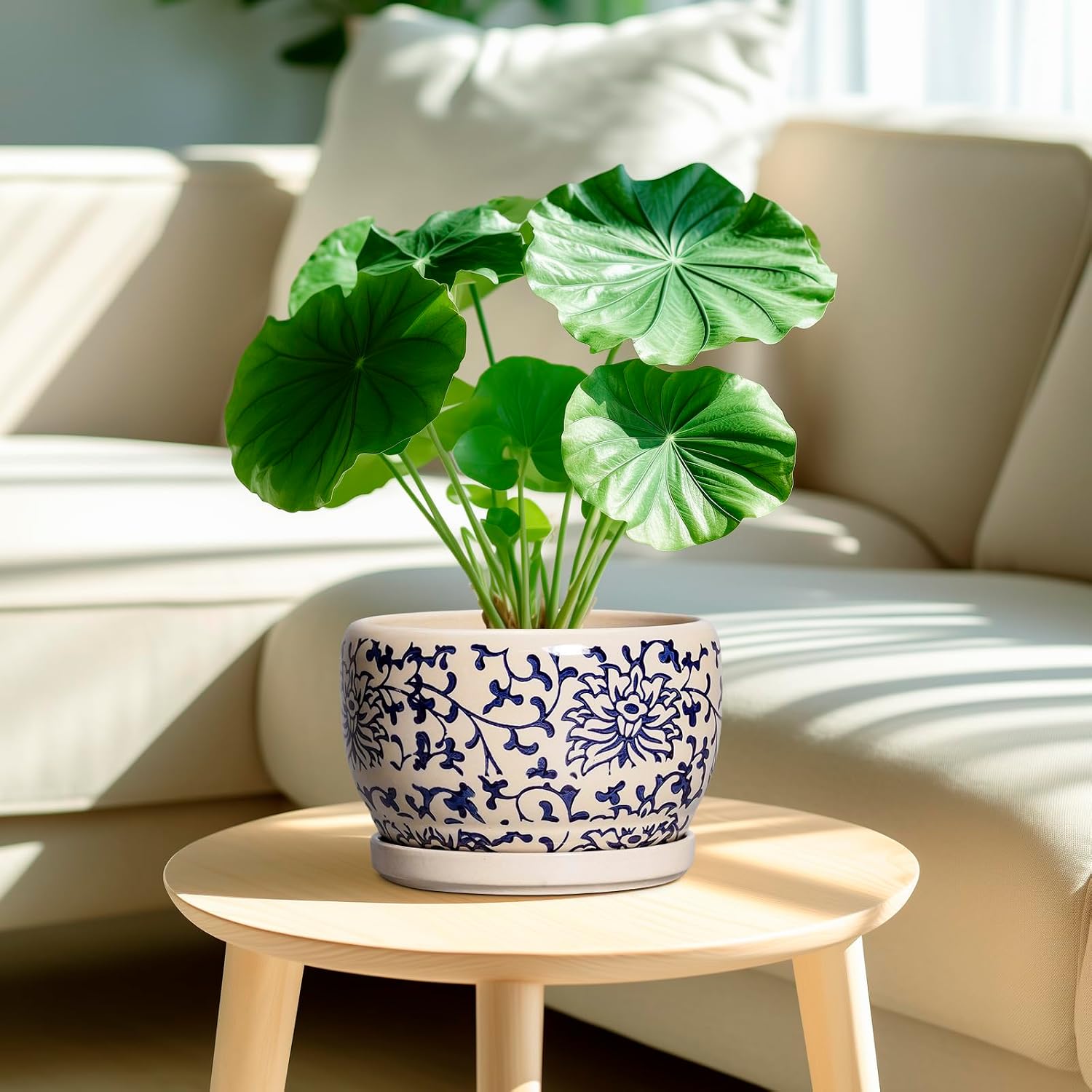 SQOWL Ceramic Planters for Indoor Plants - 8 inch Plant Pot with Drainage Hole and Saucer, Decorative Flower Pot