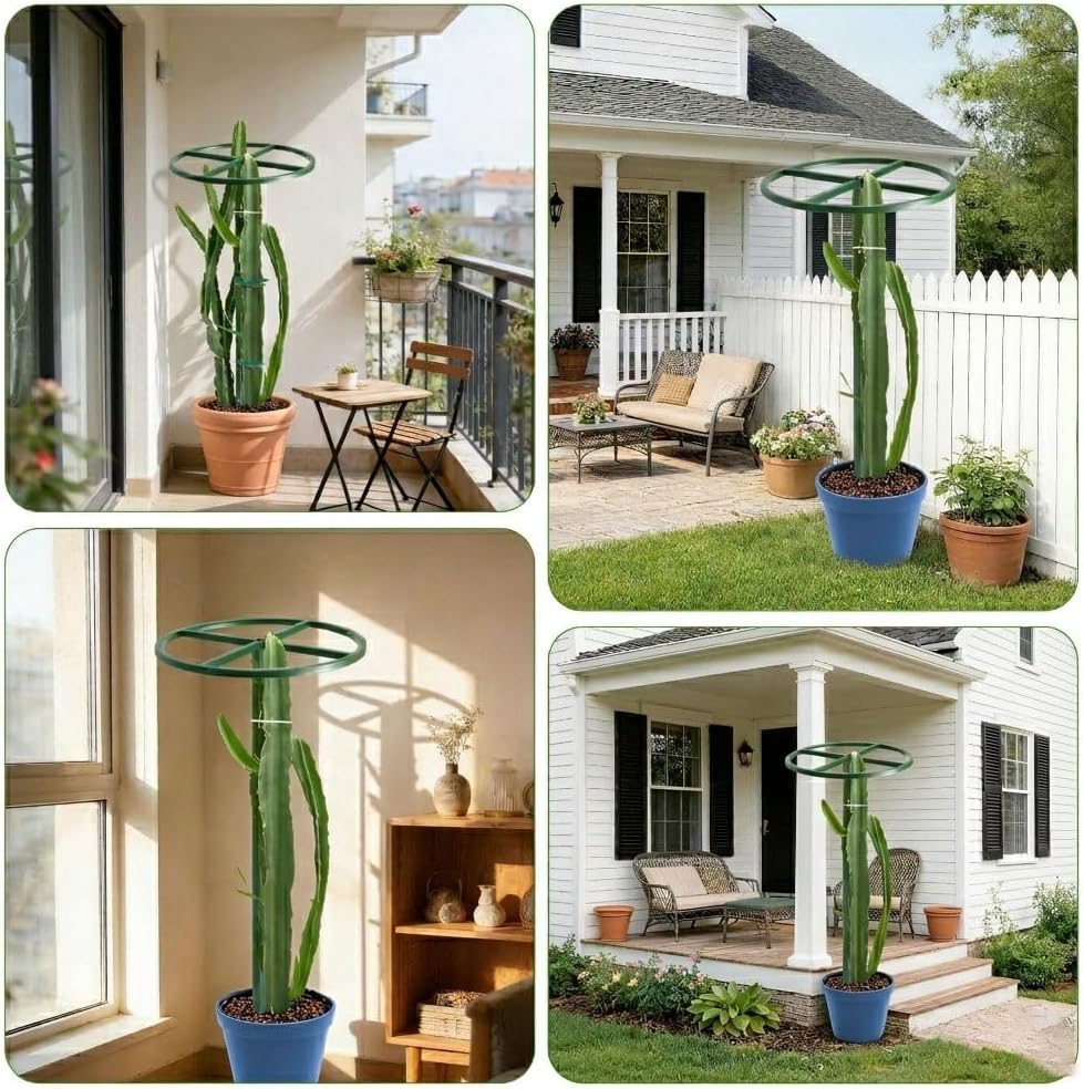 61" Adjustable Dragon Fruit Trellis, Round Ring, Green | Top apex ring supports fruit. Anti-tipping cross-base sits