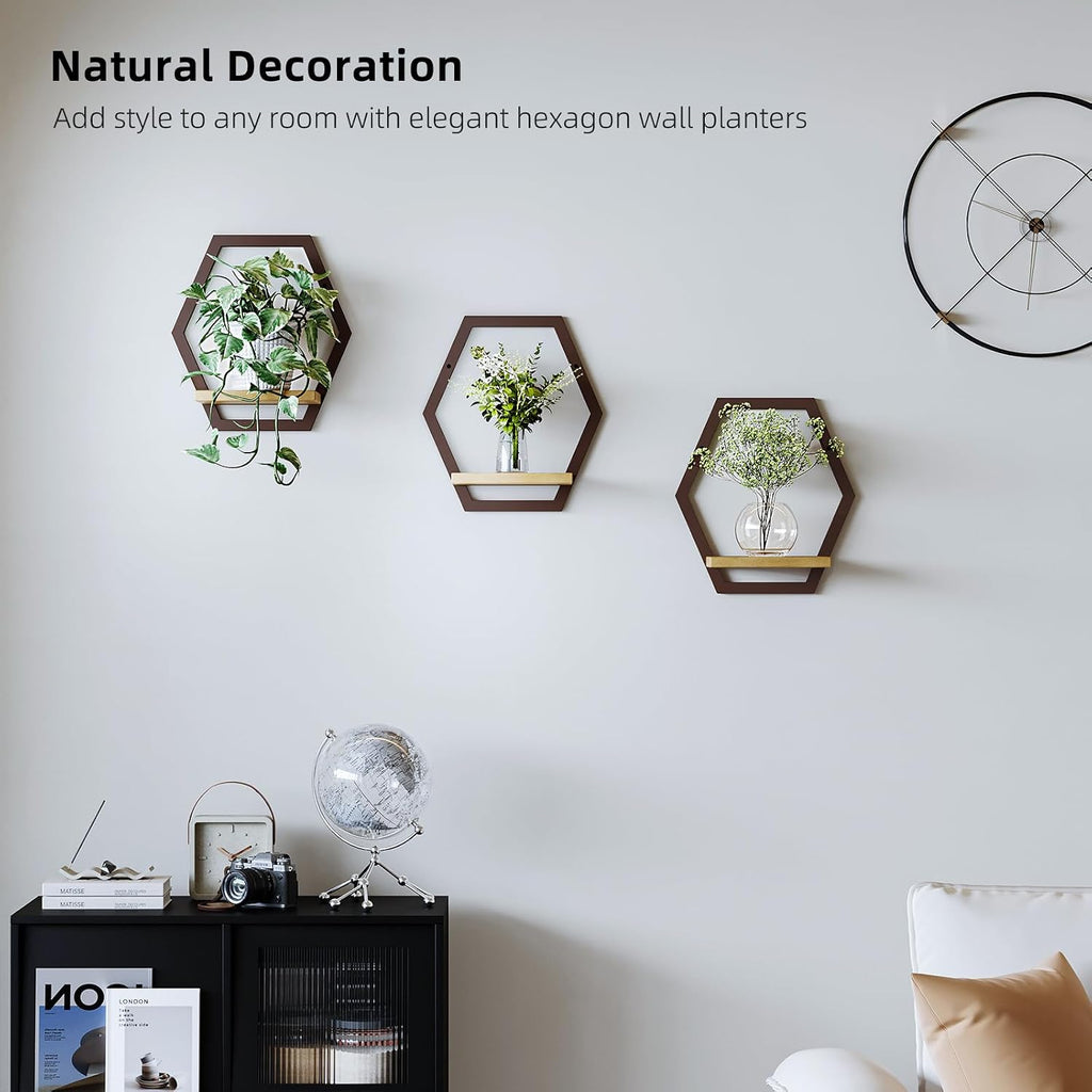 3 Pack Hexagon Wall Plant Stands, 9 Inch Wood Shelf, Coffee | Soild Wood,Metal Framework,Wall Plant Stand,Natural Wood